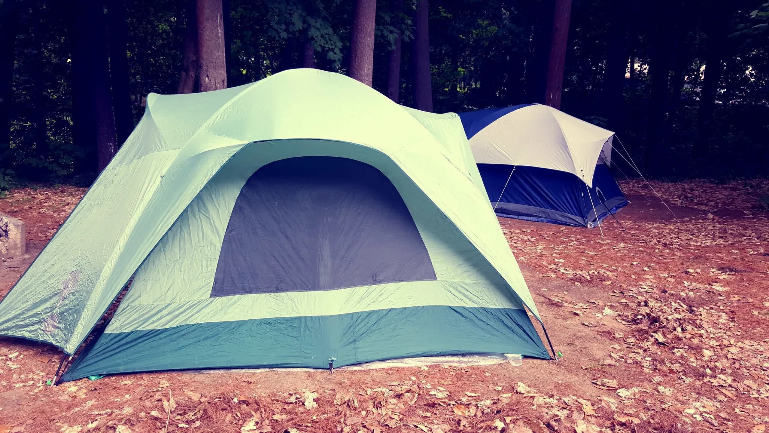 Redwood Family Camp