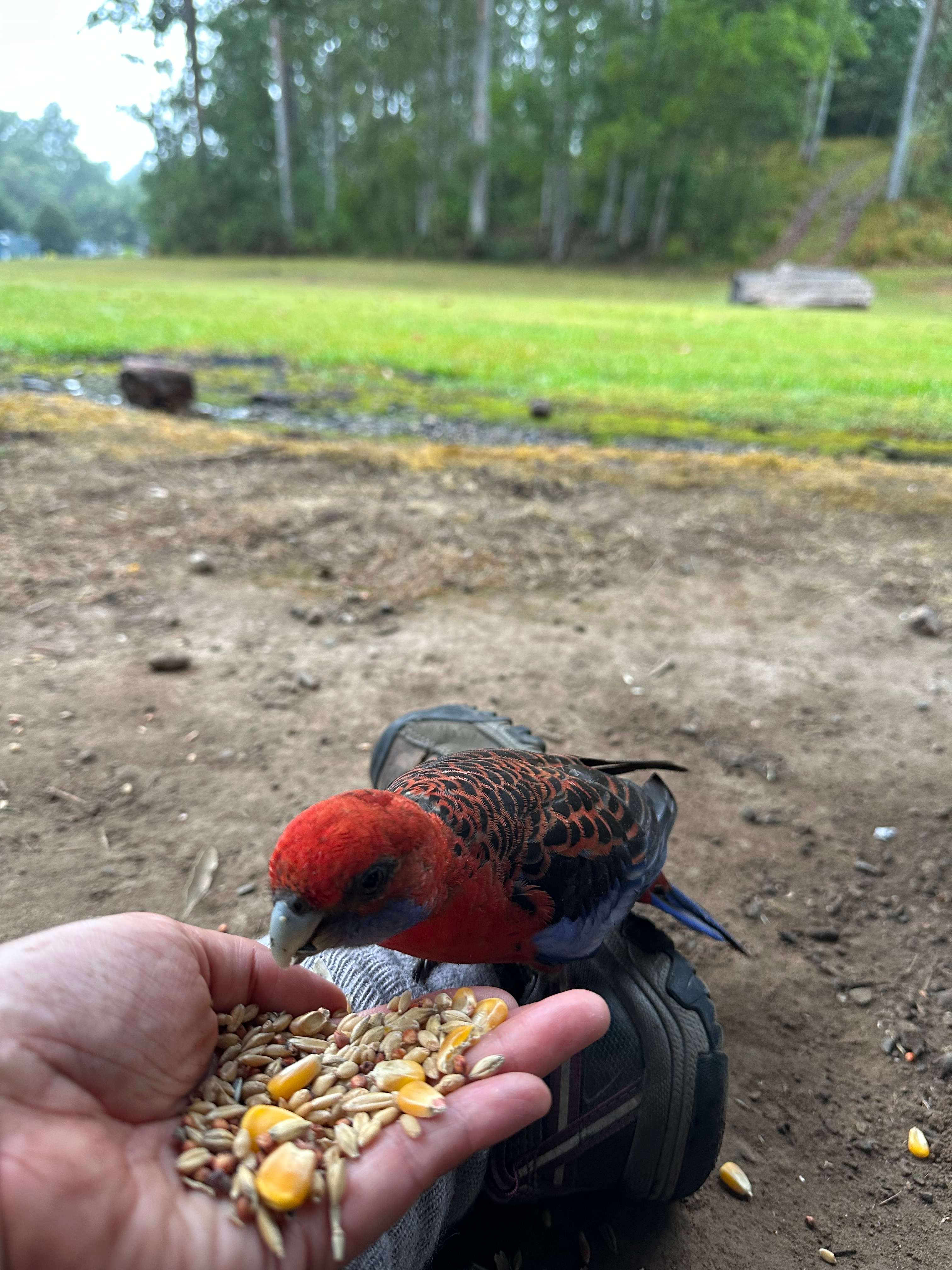 Gloucester Tops Riverside Caravan Park