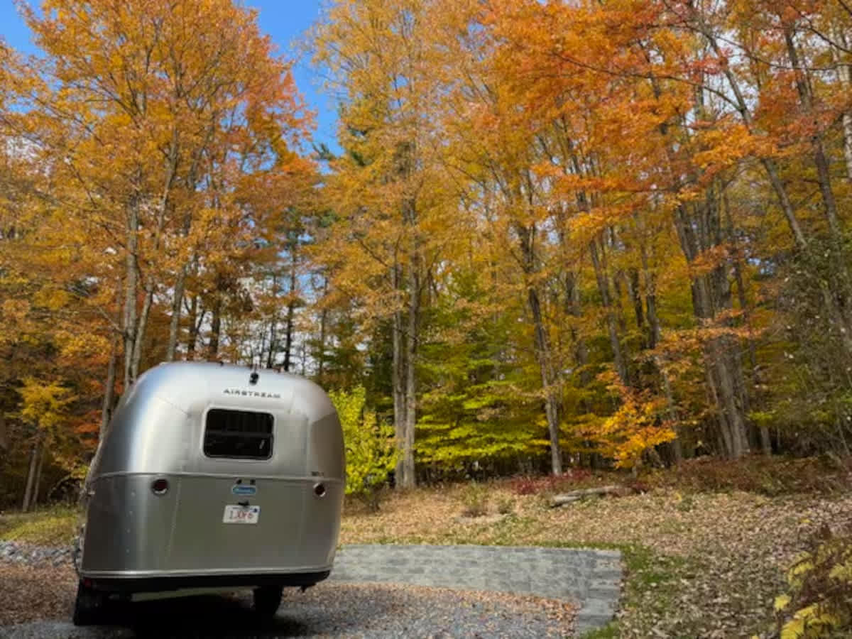 Woodland Glamping Nirvana in Williamstown!