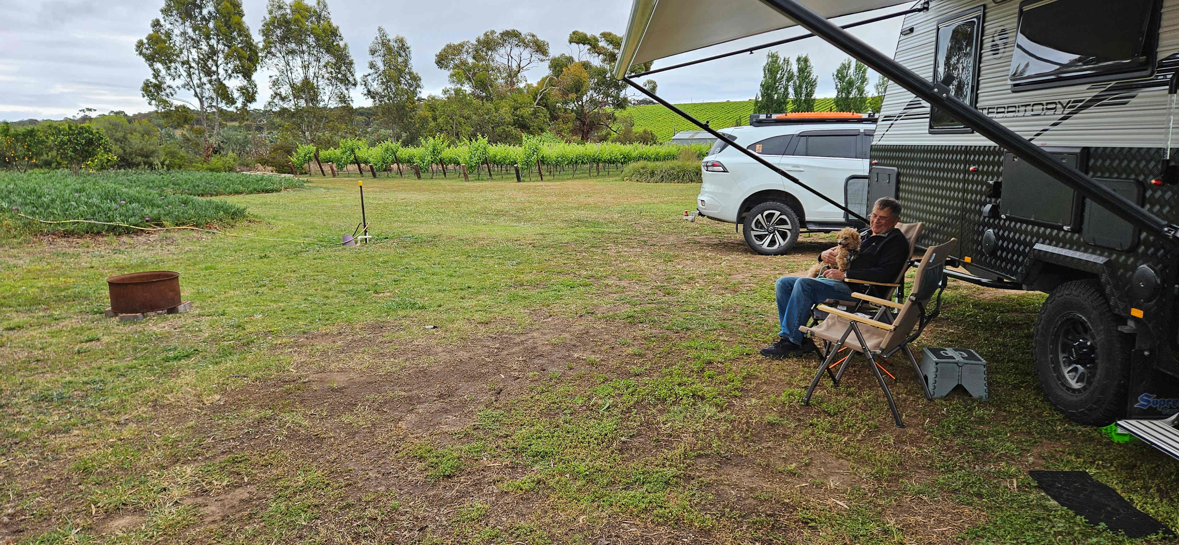 McLaren Vale Vineyard