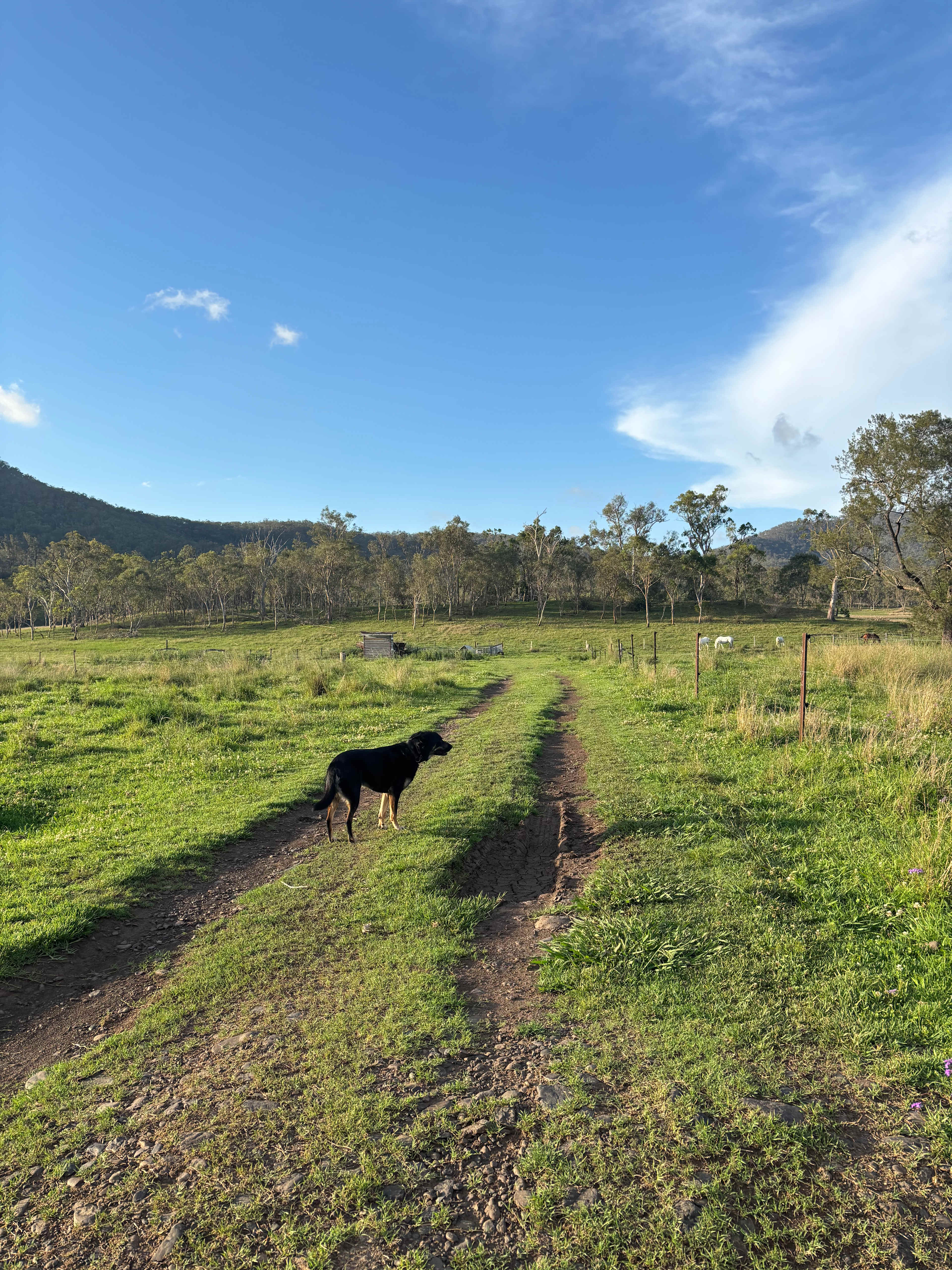 Gleneden Farm - Heritage Produce