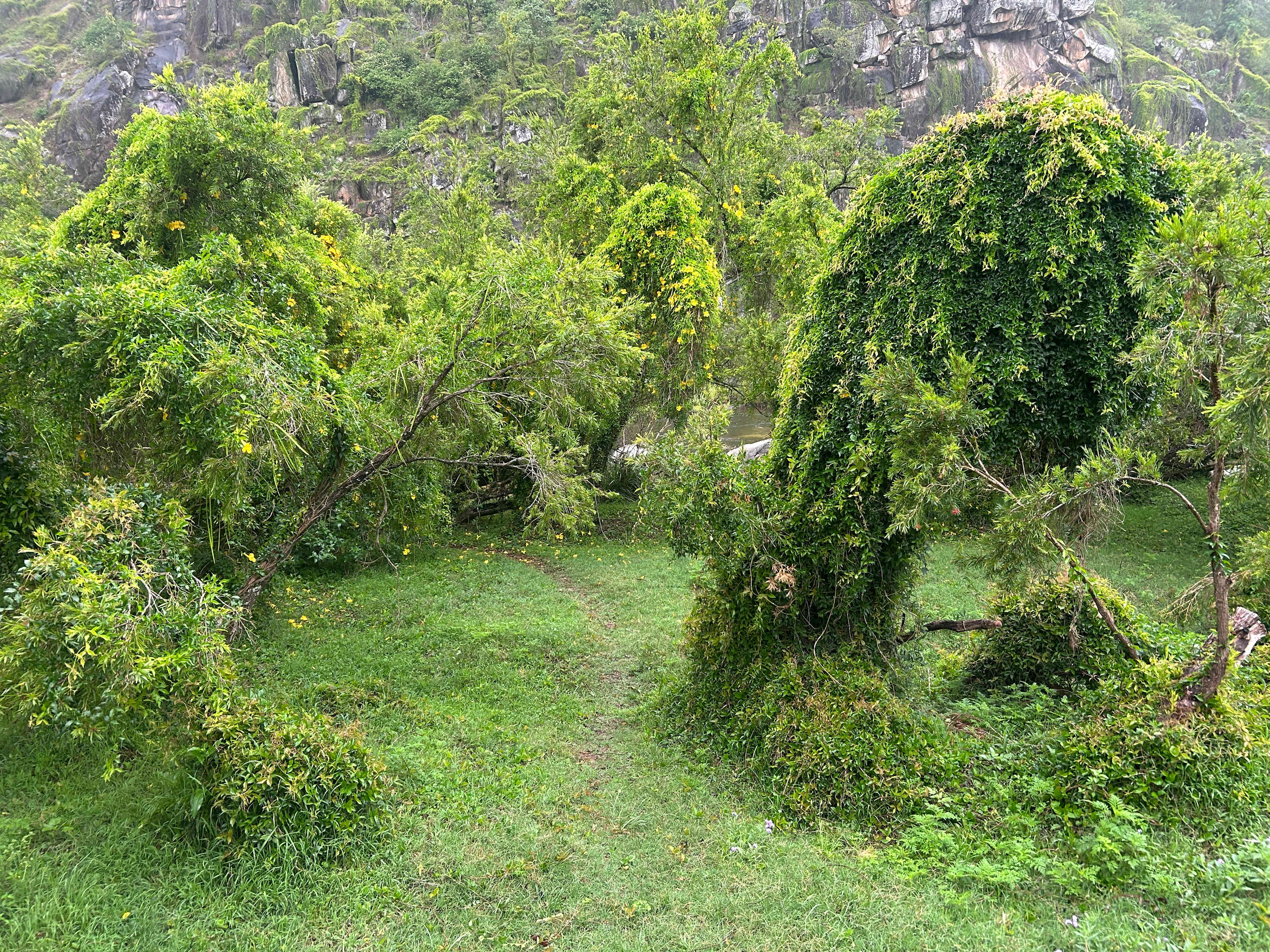 Eagle Ridge Bush Retreat