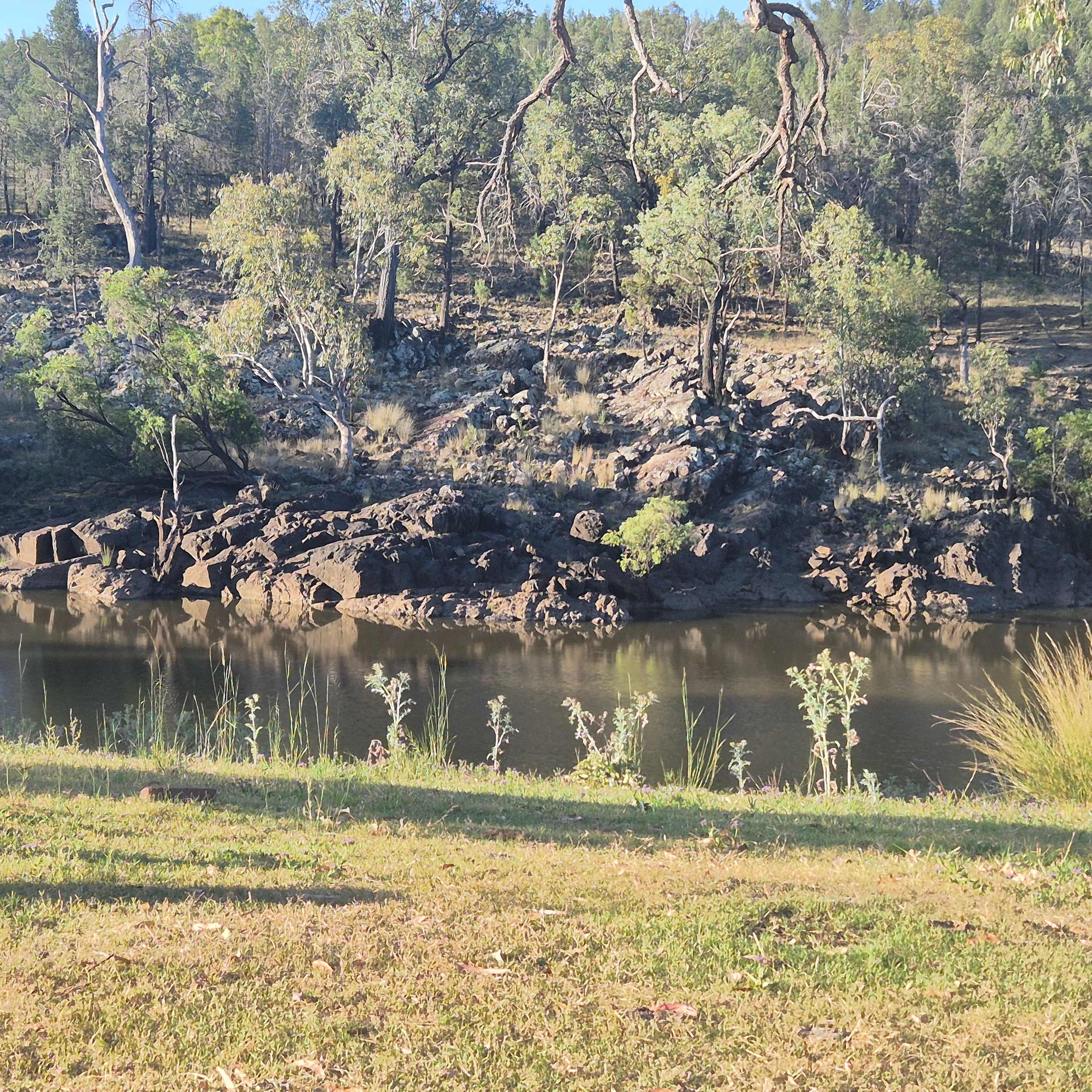 Wongalea Fishing and Camping