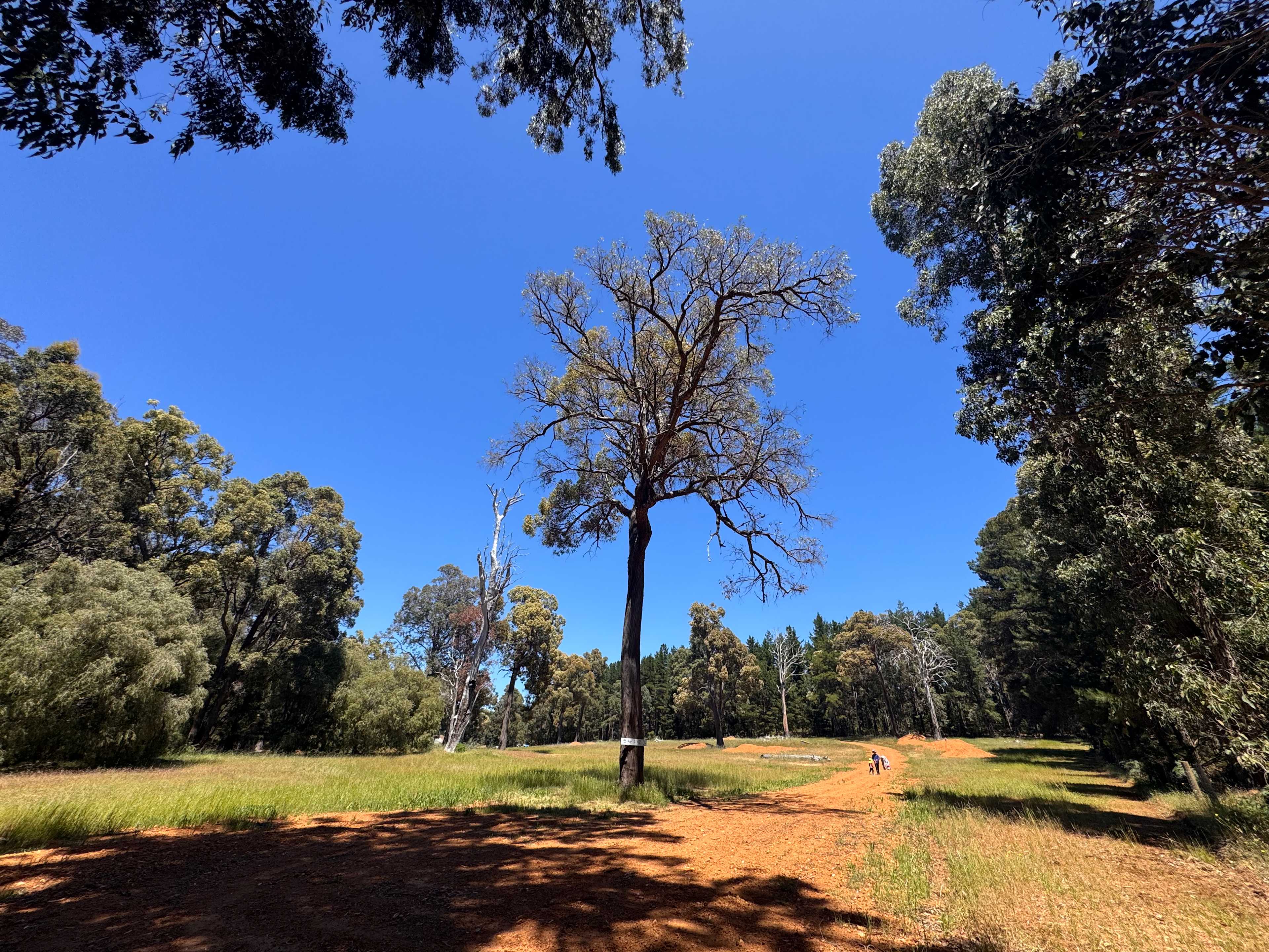 Shukuru Farm, Wellington Forest WA