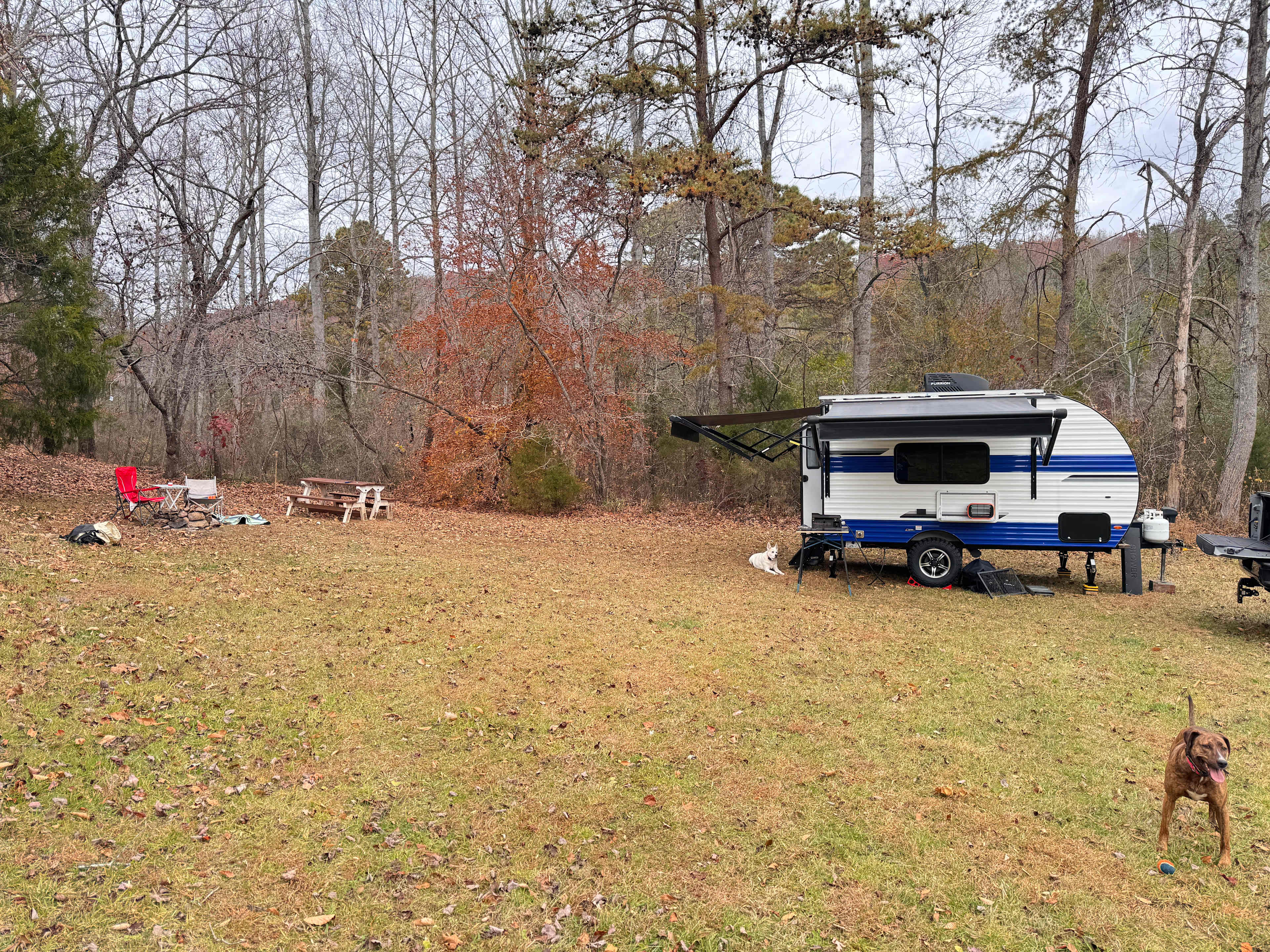 Camping next to the creek