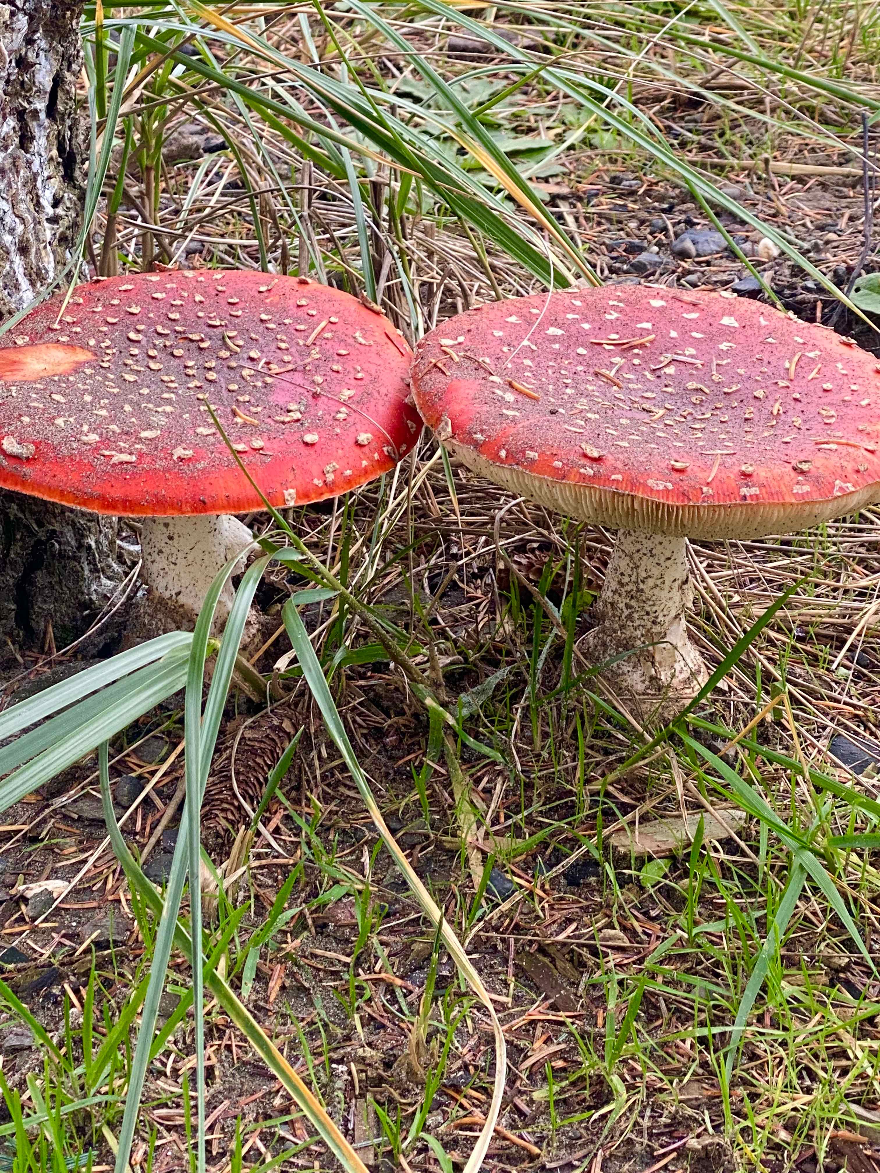 Lots to see walking the shore line