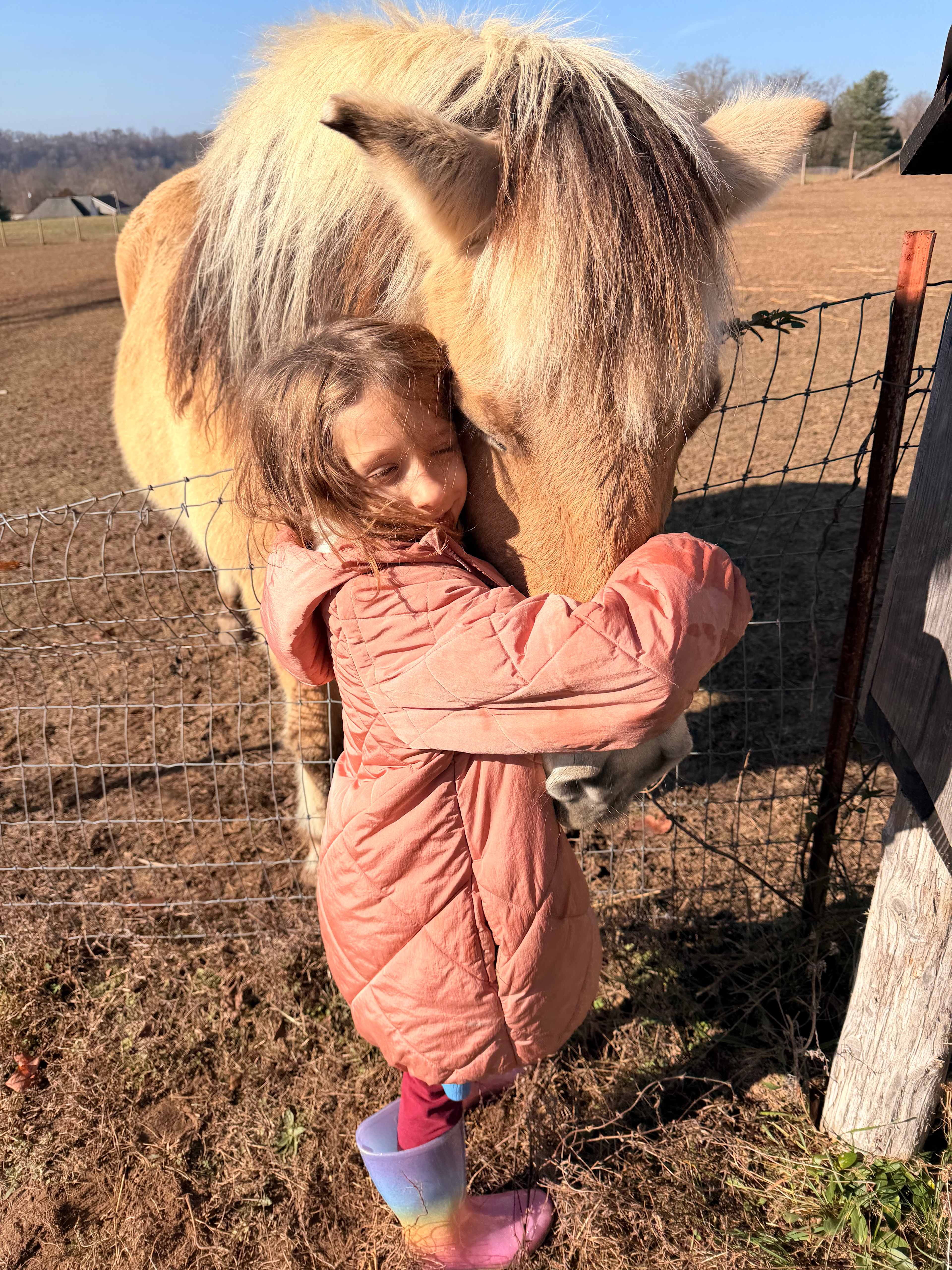 Cabins at Guthrie Meadows