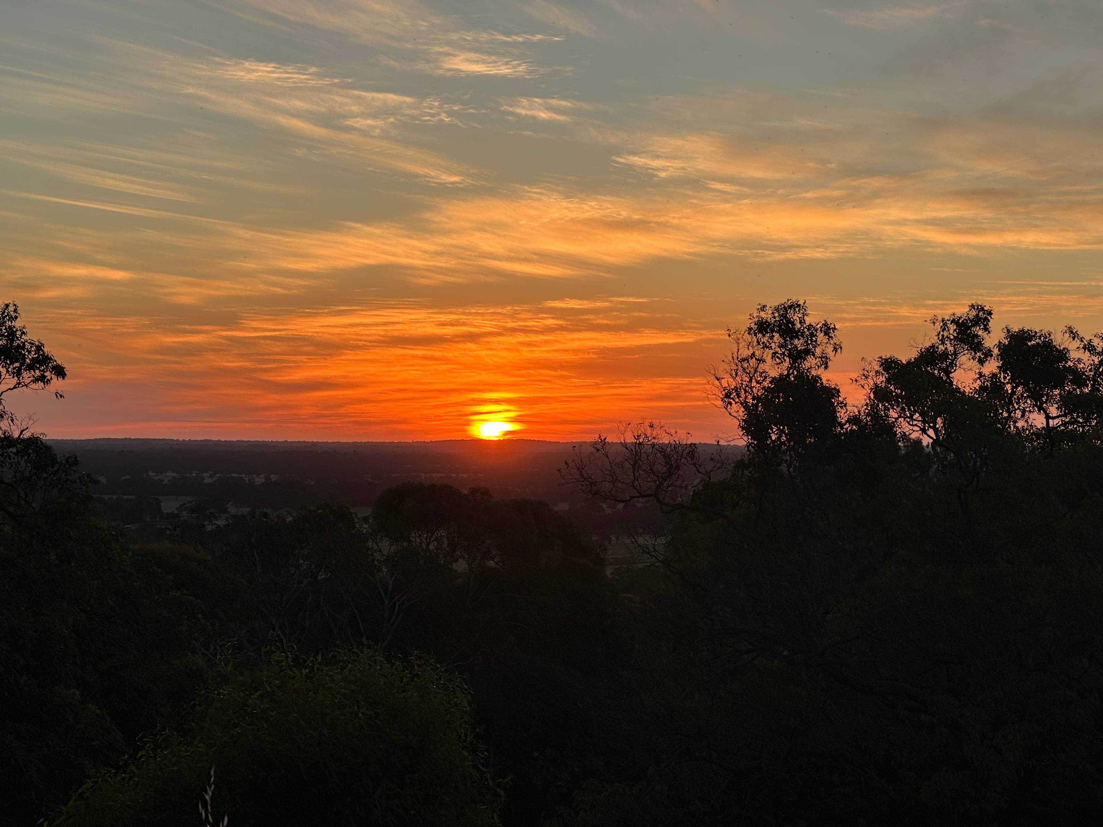 Yarrabah High Country- Jarrahdale