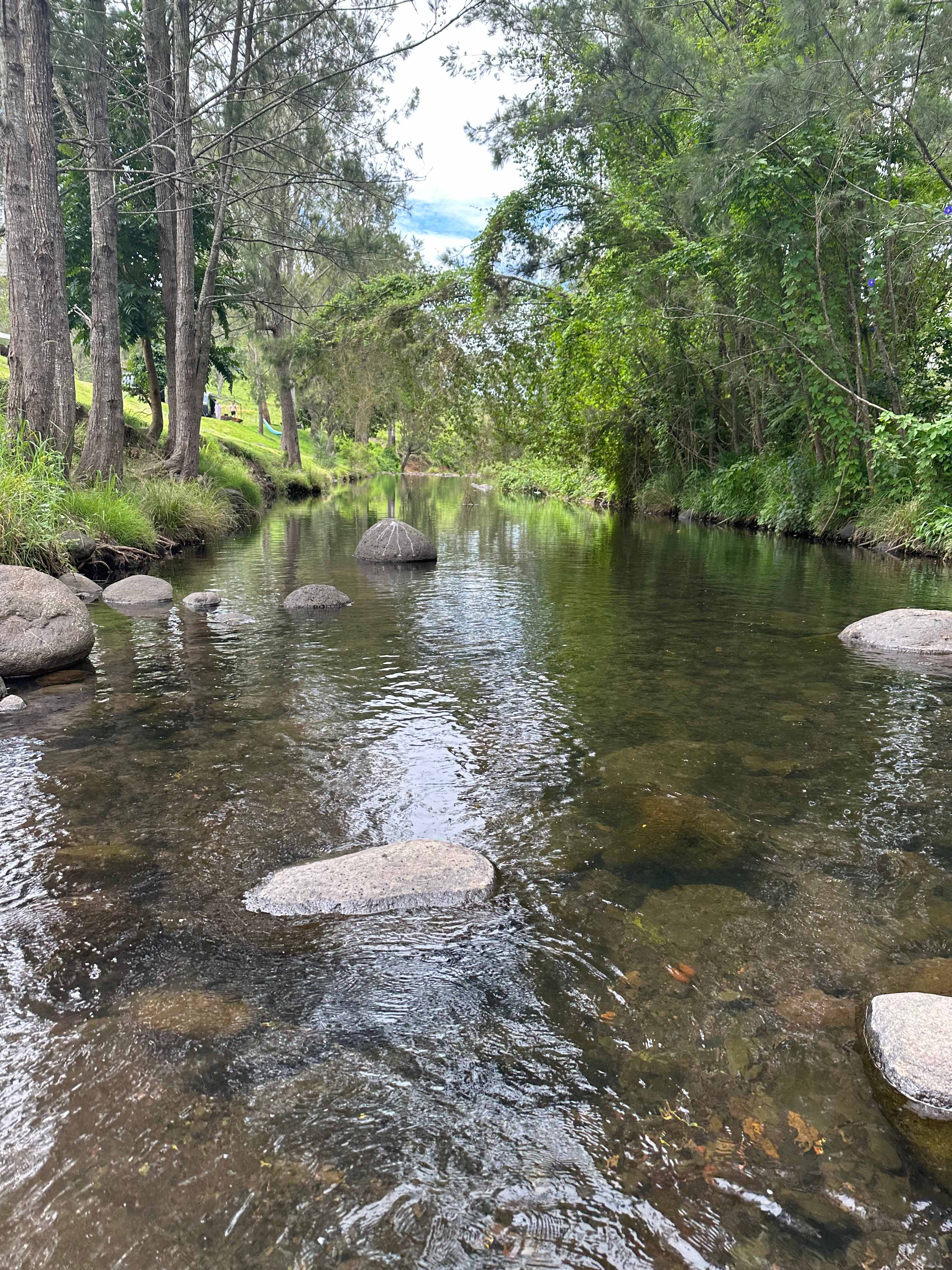 Beautiful cool, relaxing creek