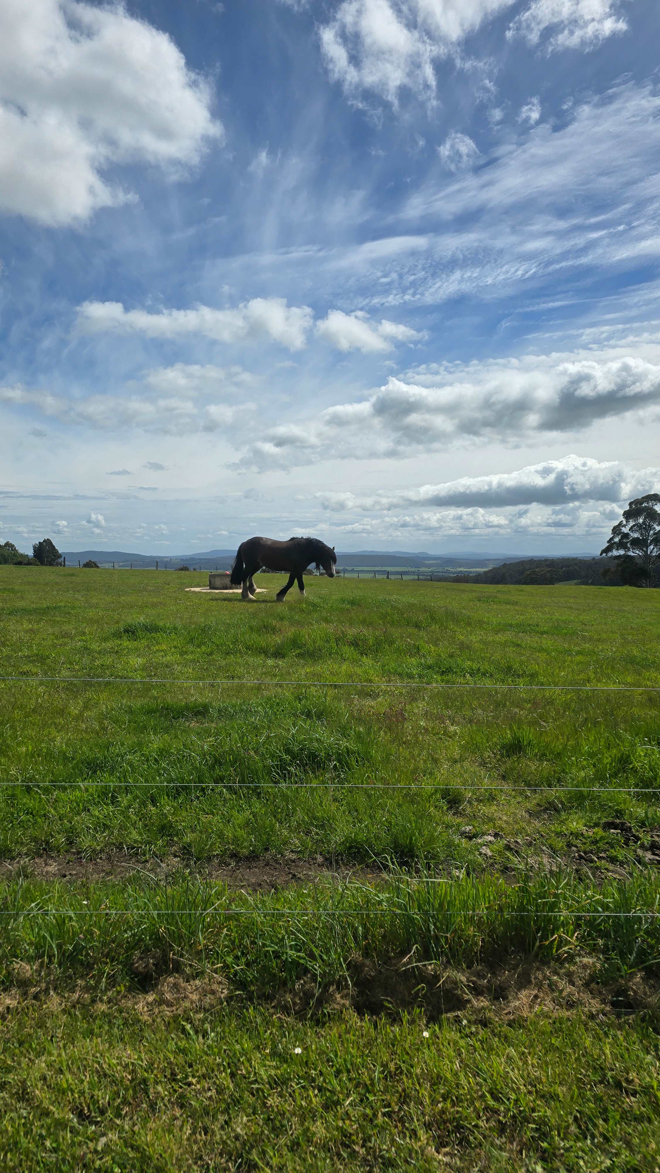 Hill Top Farm Meander Tasmania