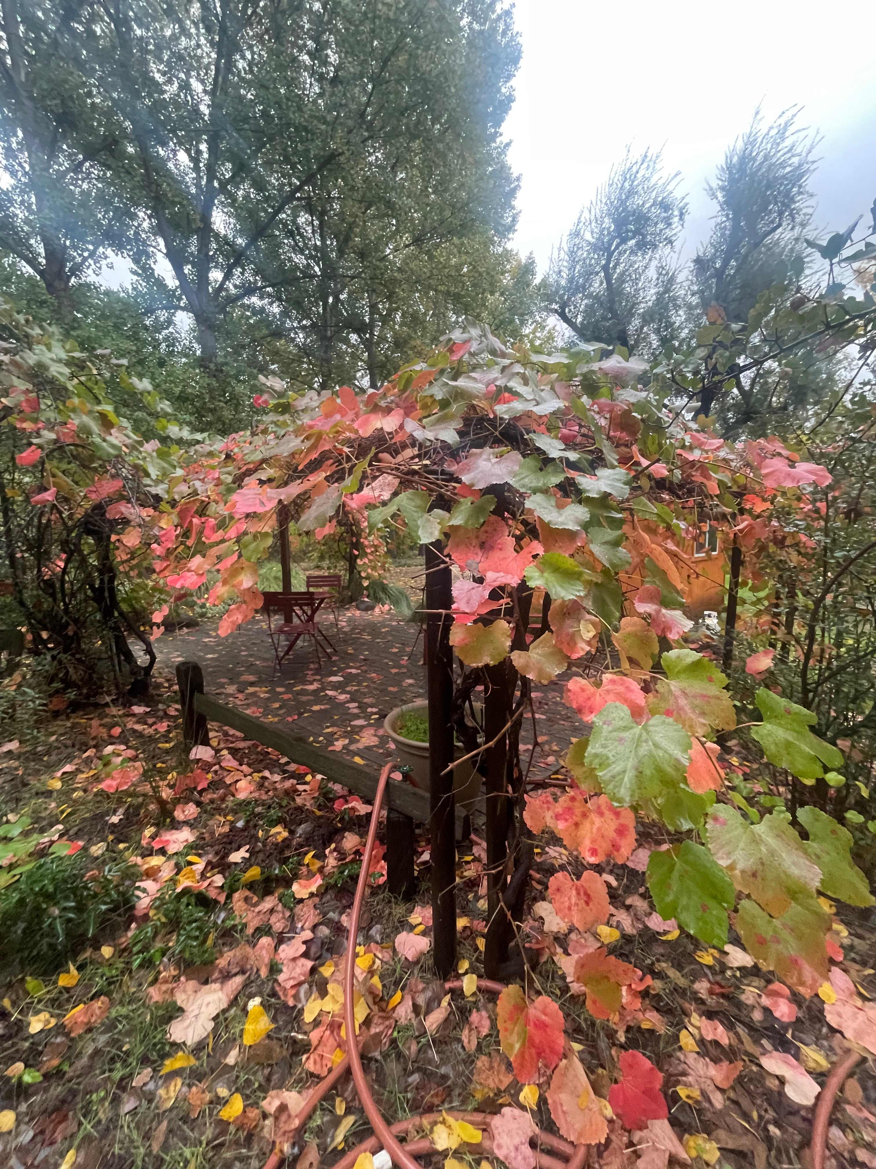 Sierra Ranch - Cabins & Tents