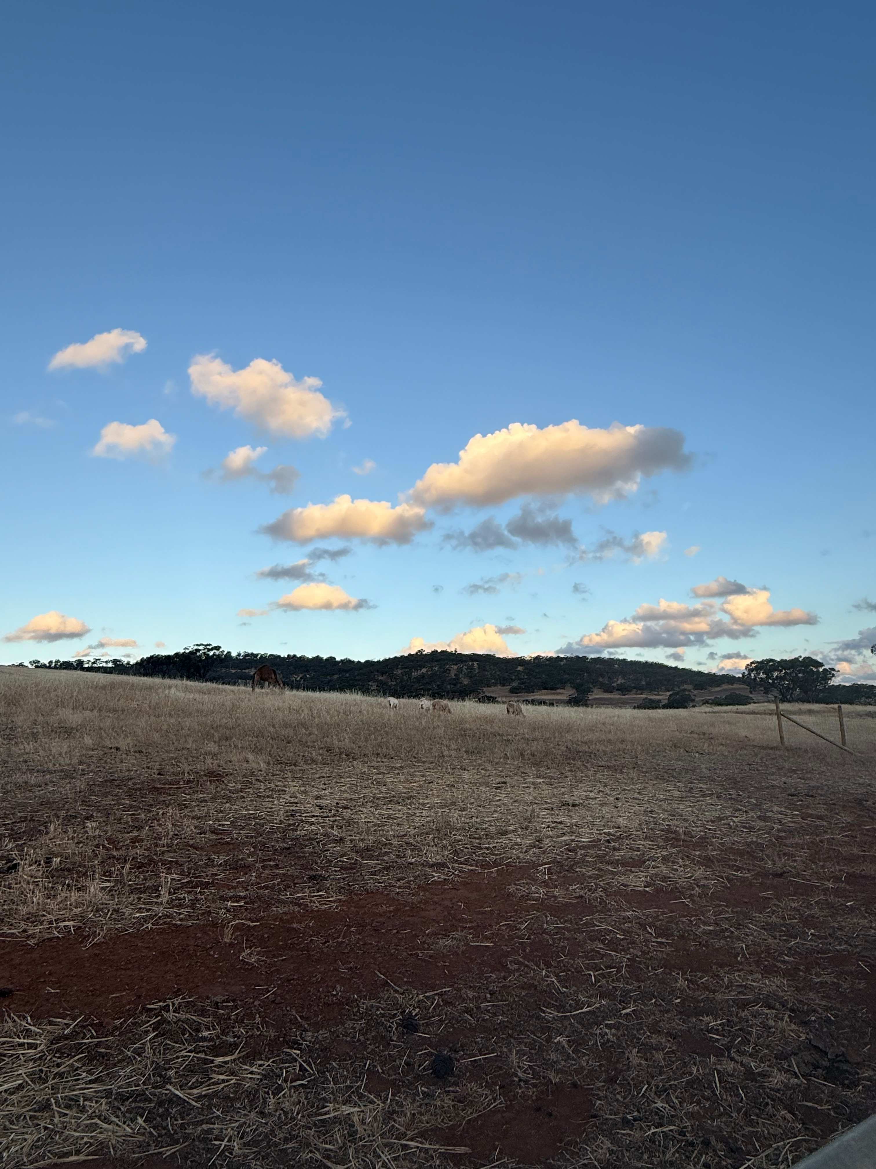 Sandalwood Downs  Farm Stay Toodyay