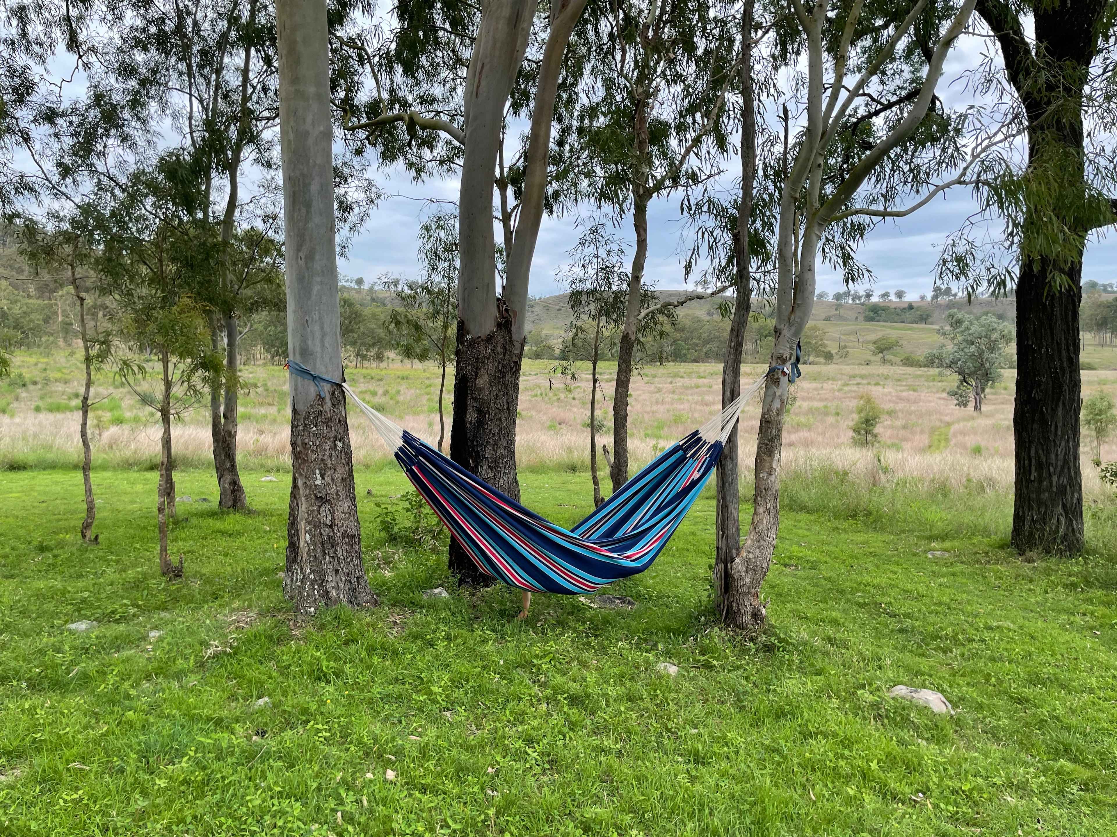 Moreton Bay campsite