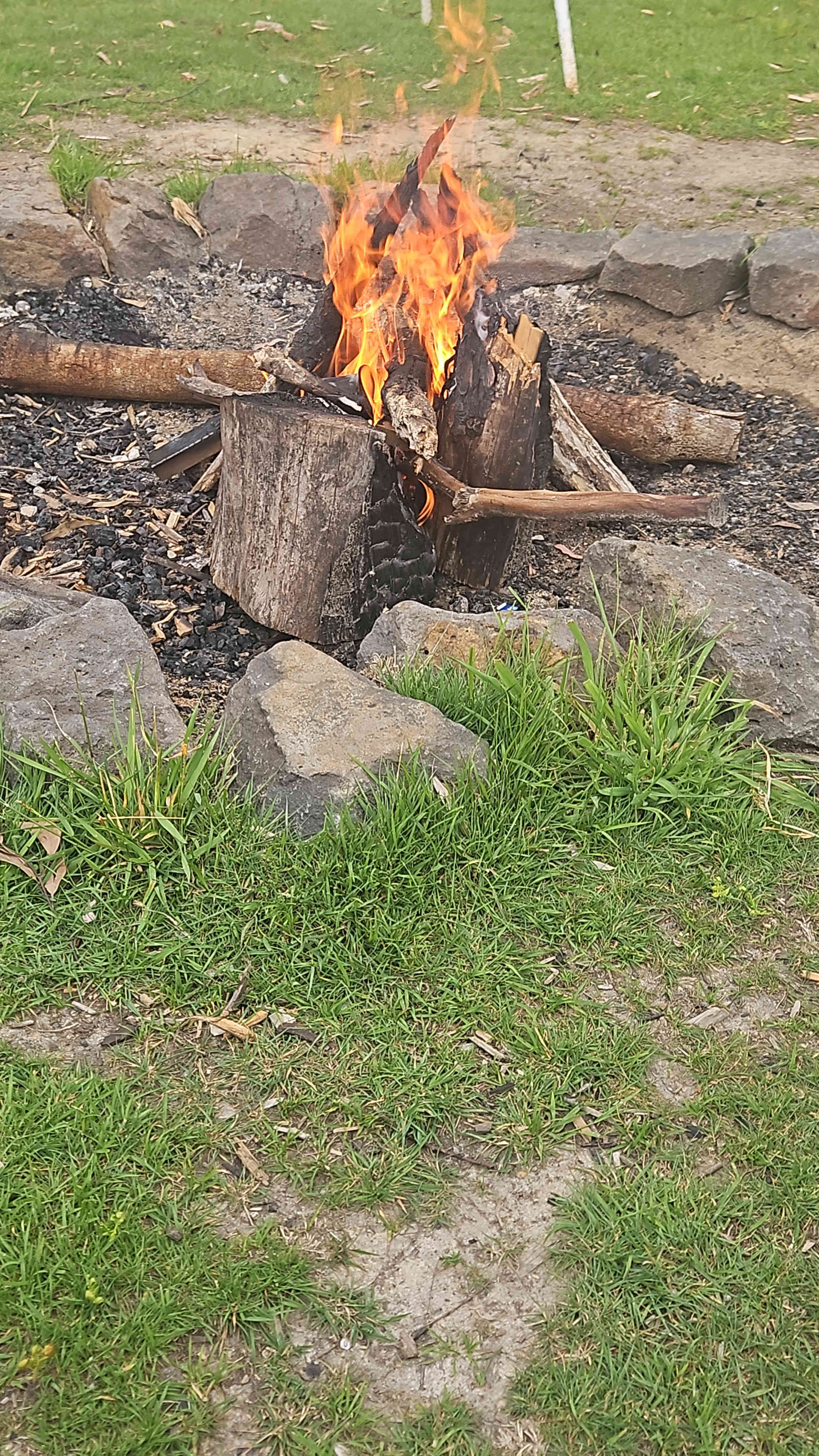 Mountain Flower Farm