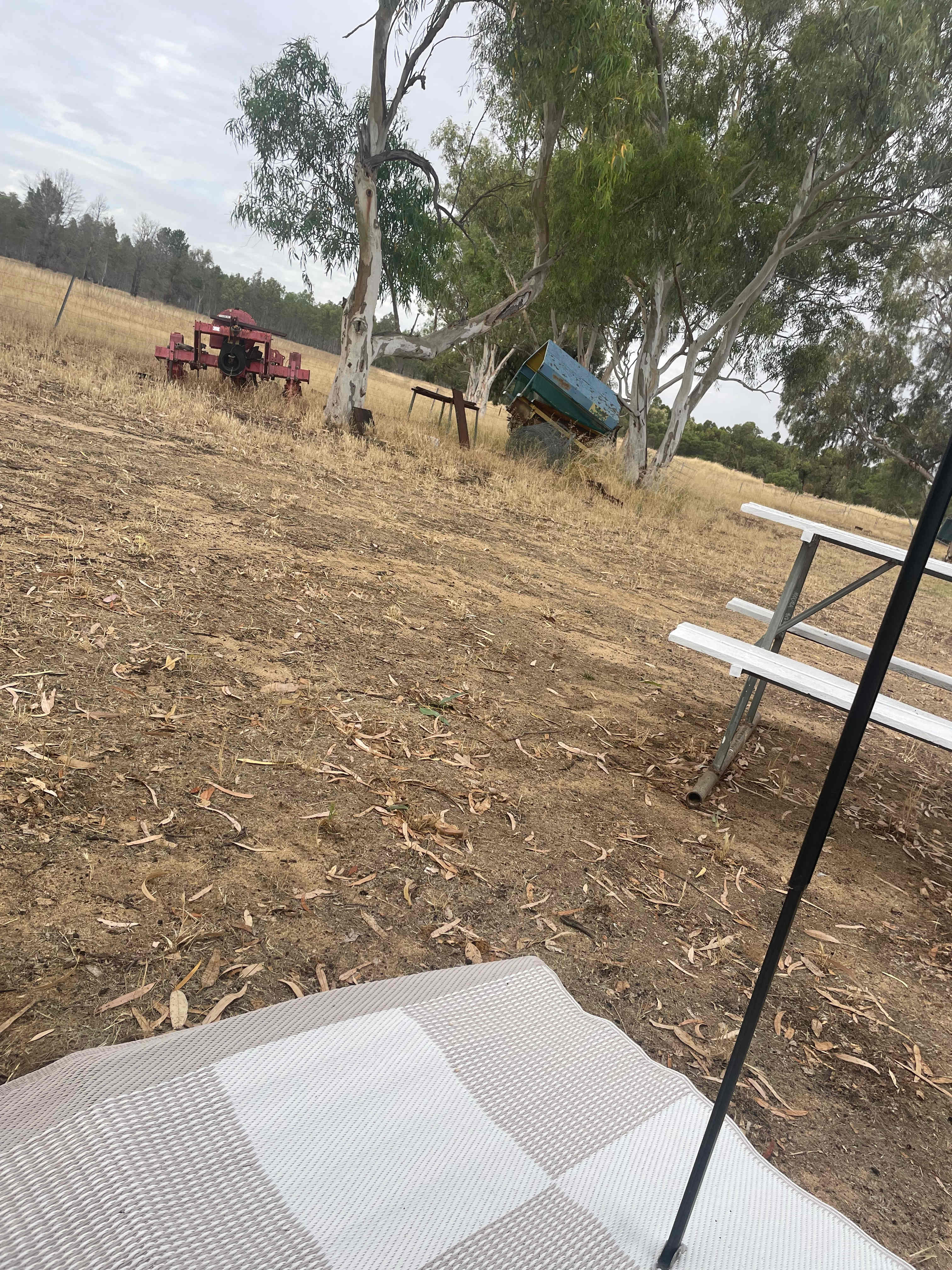 Westways Wildflower Farm