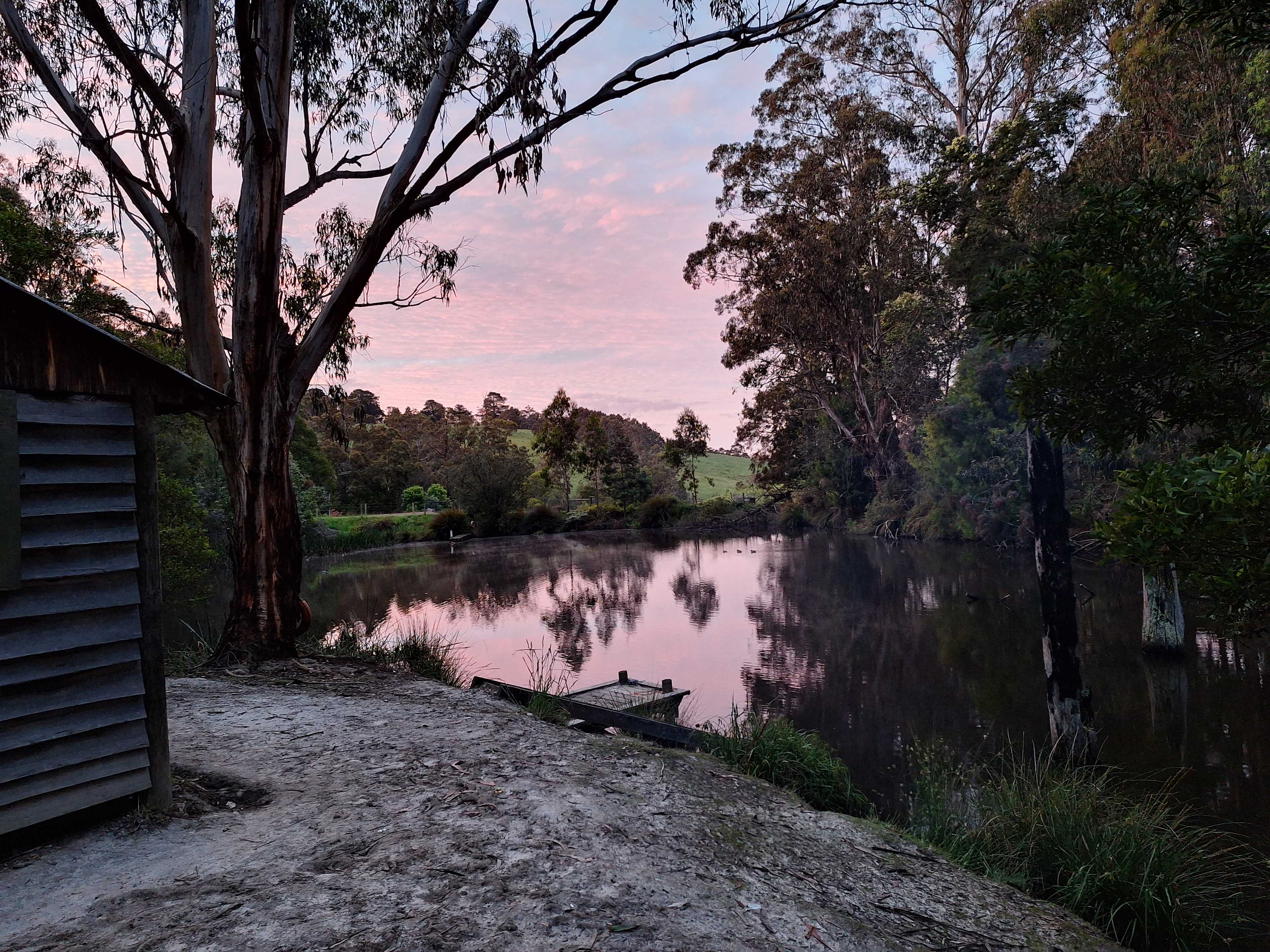 First awake at camp is a special time.   Day breaks with the chorus of waterhen, Wonga Pigeon and kookaburra, backed by pobblebonk and the odd snuffling of the cows.  Alone?  Not with this crowd 🤩.