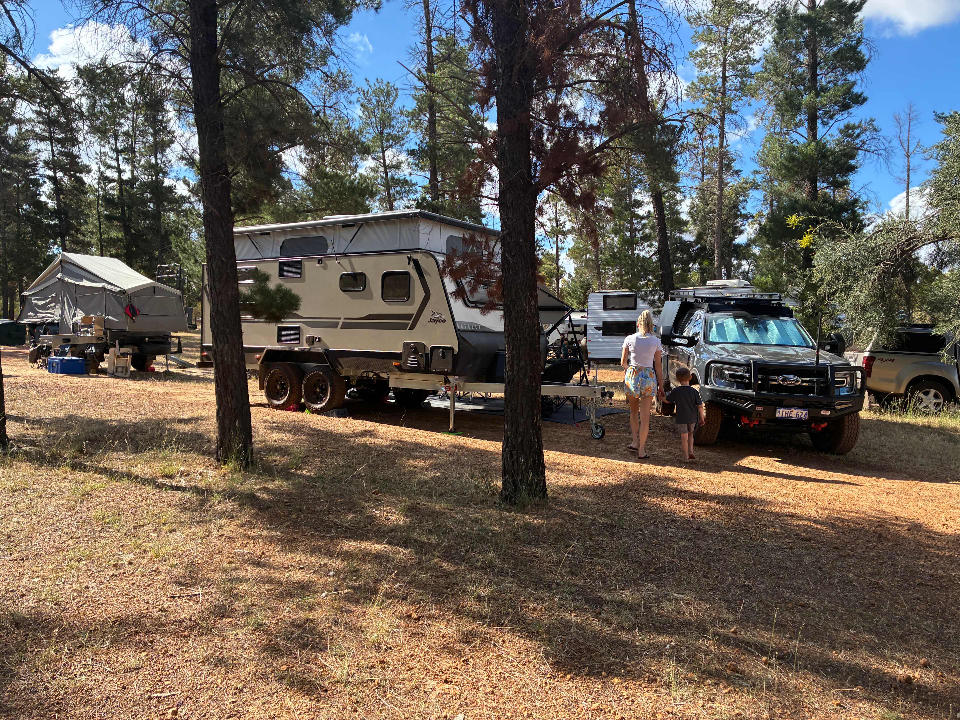 Little Eeden Farm Pine Camp