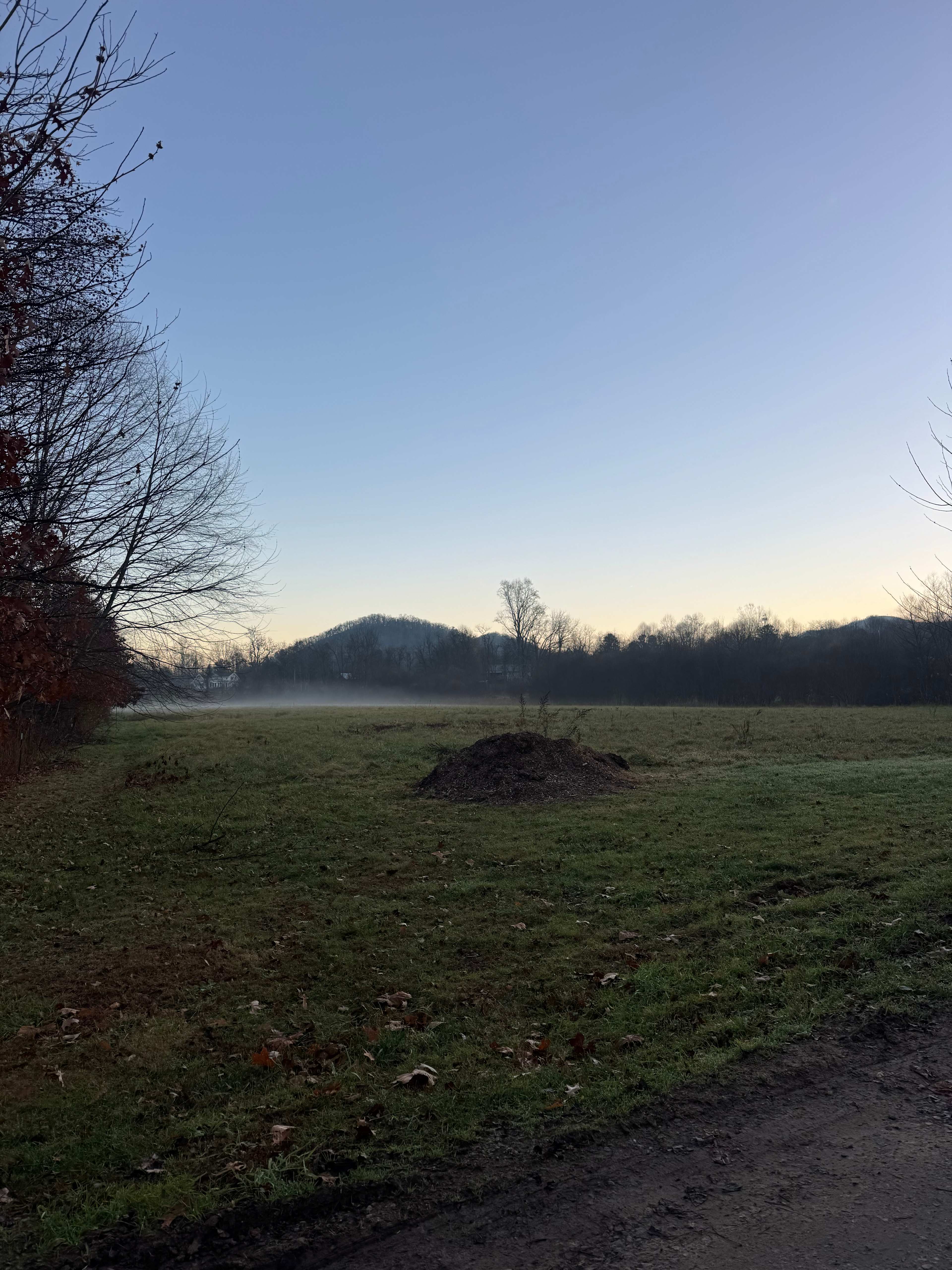 Green Heart Medicinal Herb Farm