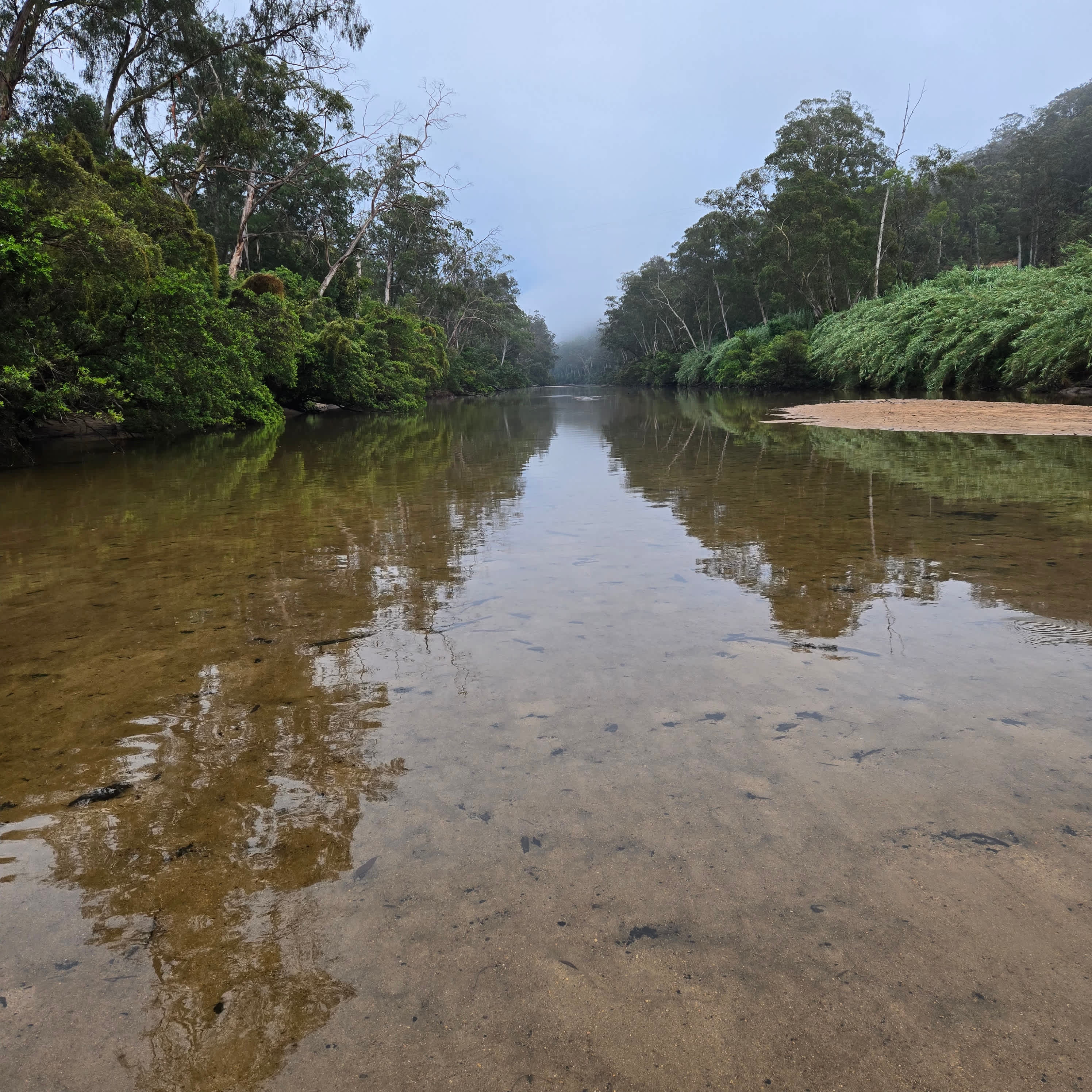 Bielany Campground @ Colo River