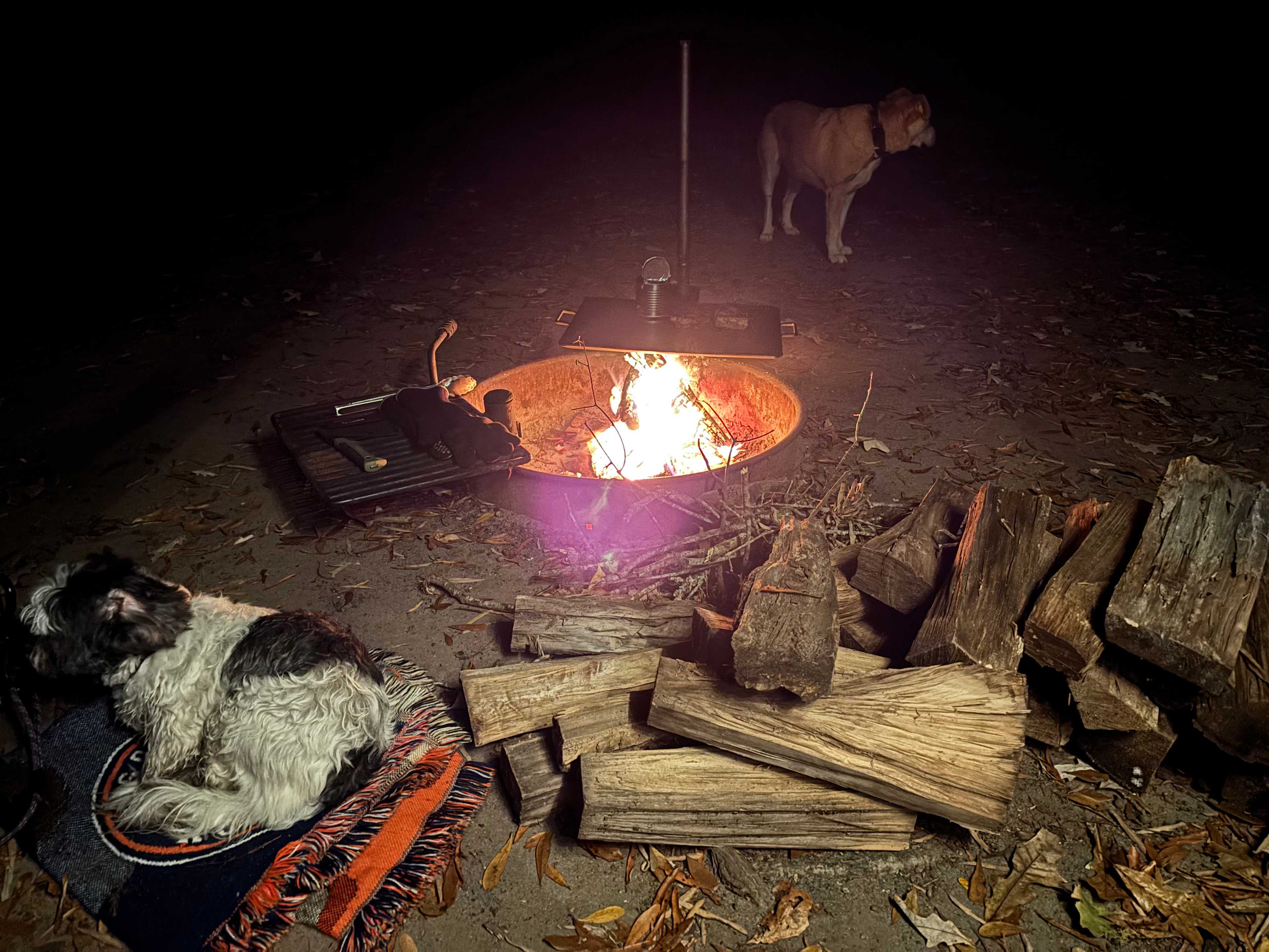 Black River Camping Ventures