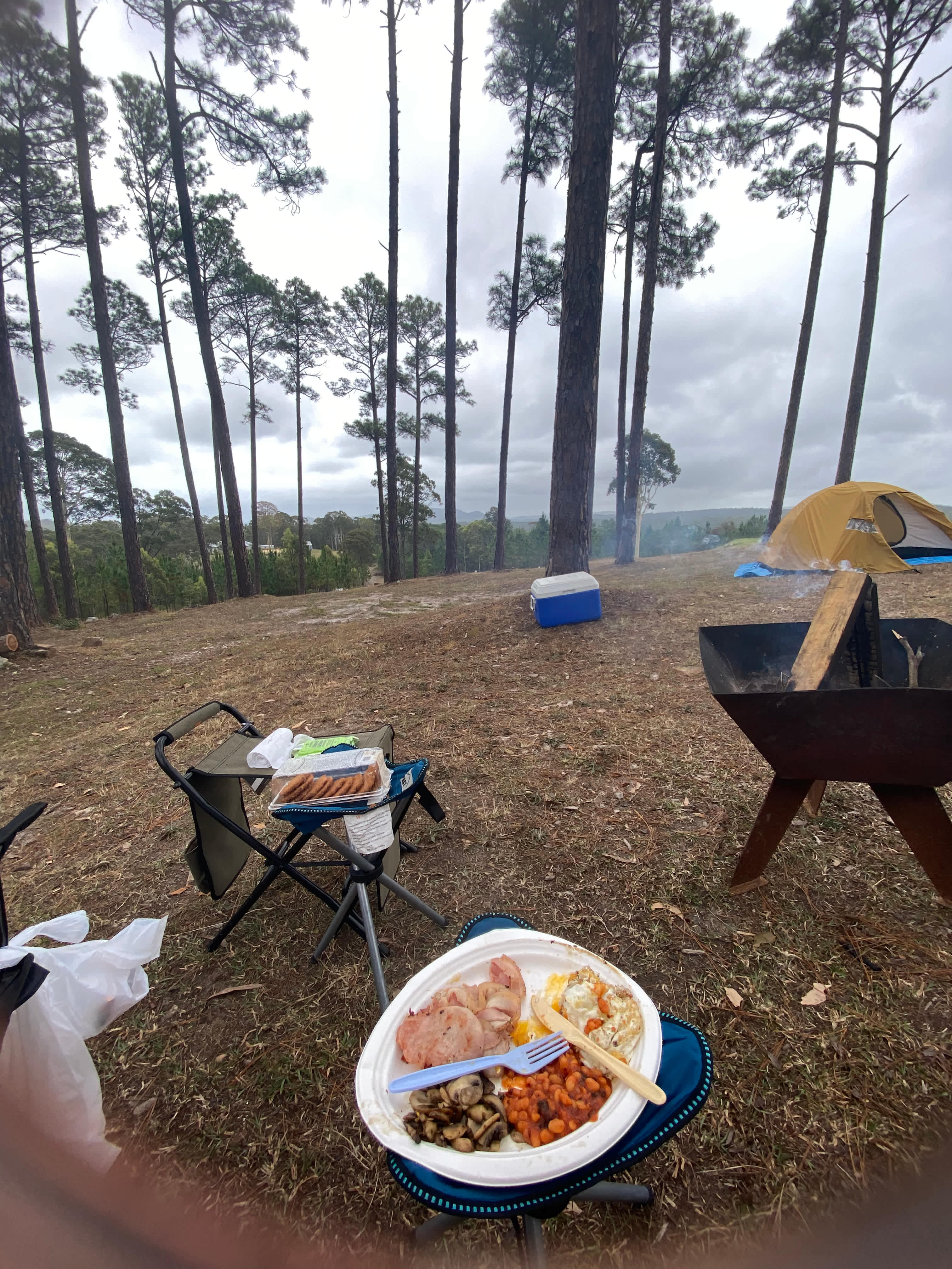 Fame Mountain Camp - pets welcome