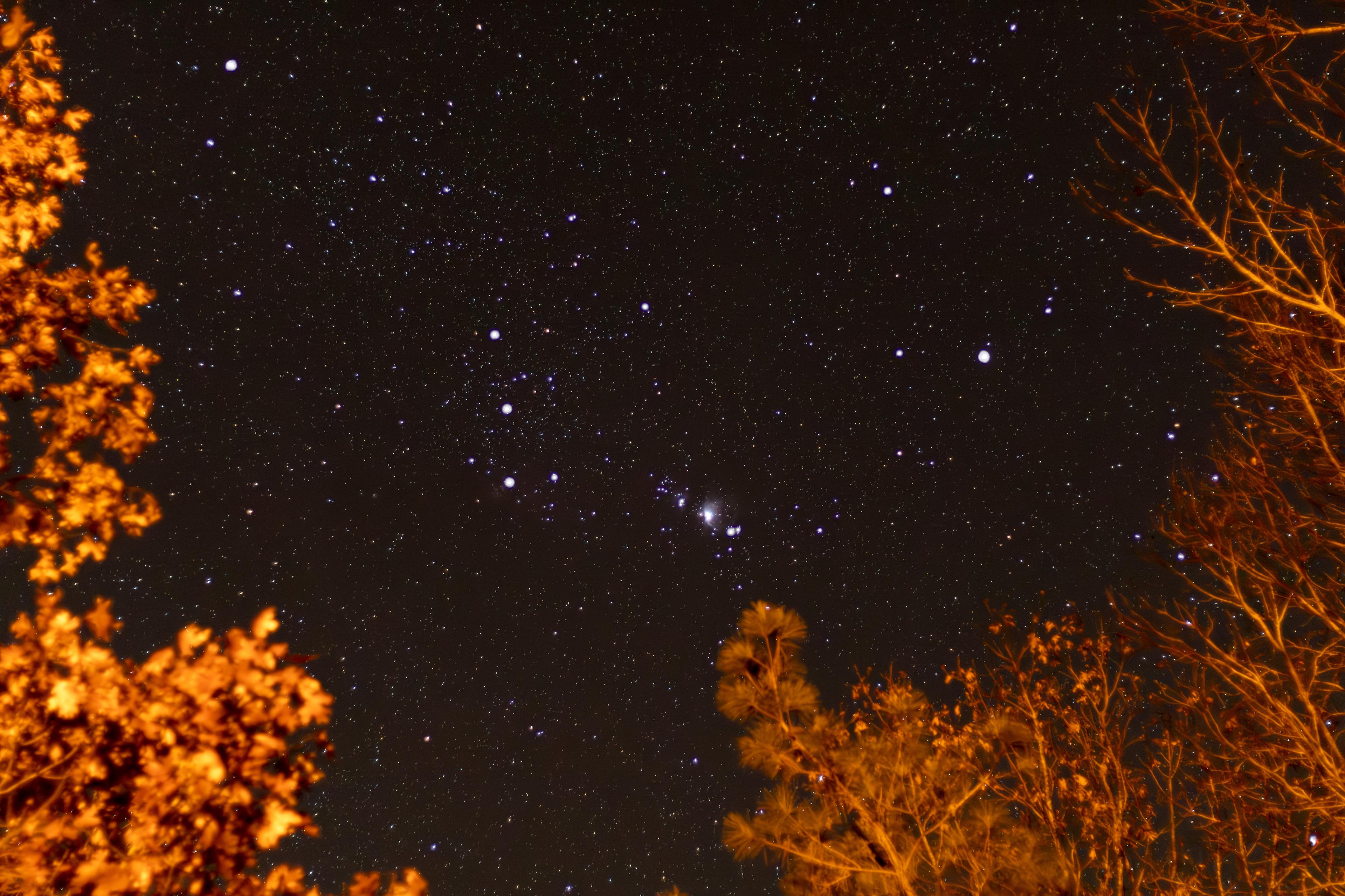 Hidden Branch Campground