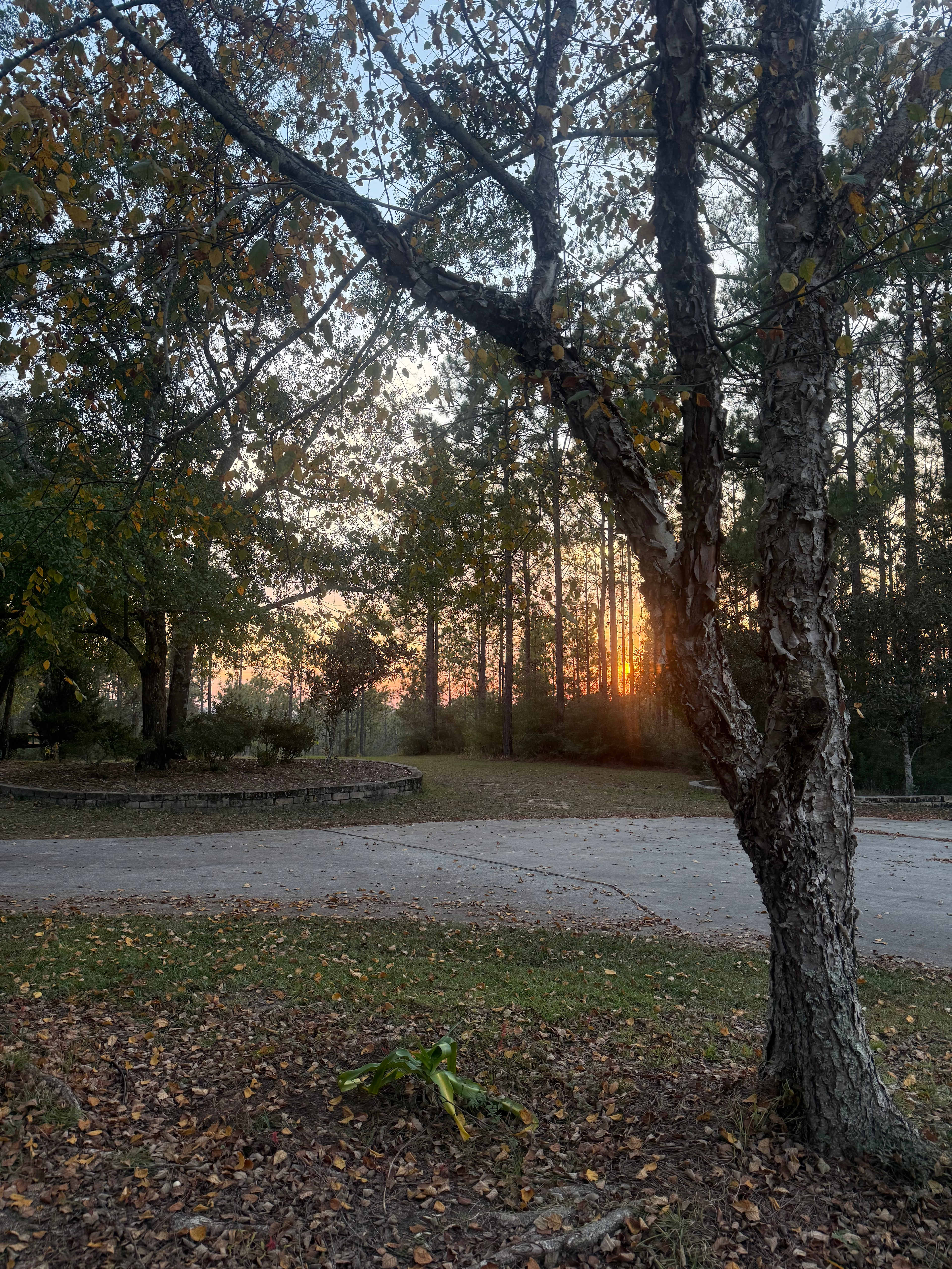 Another gorgeous sunset