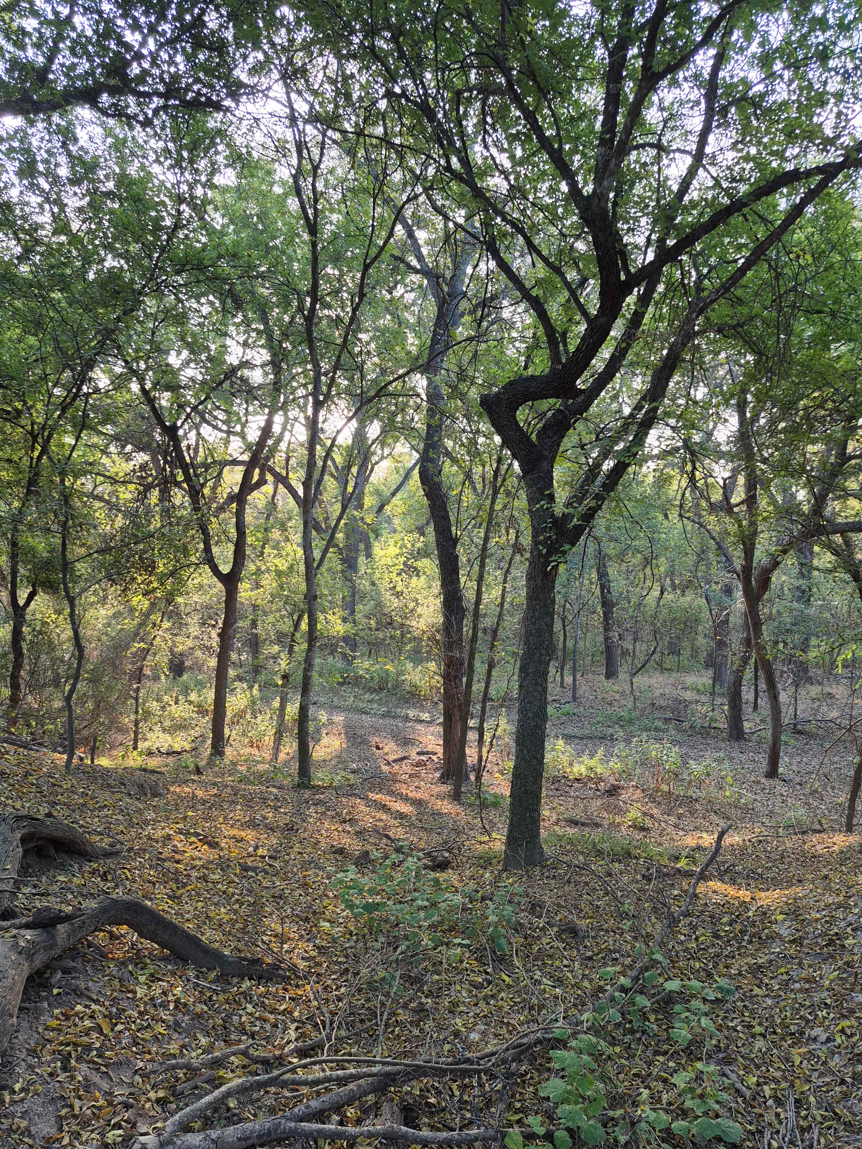 Alamo River RV Resort