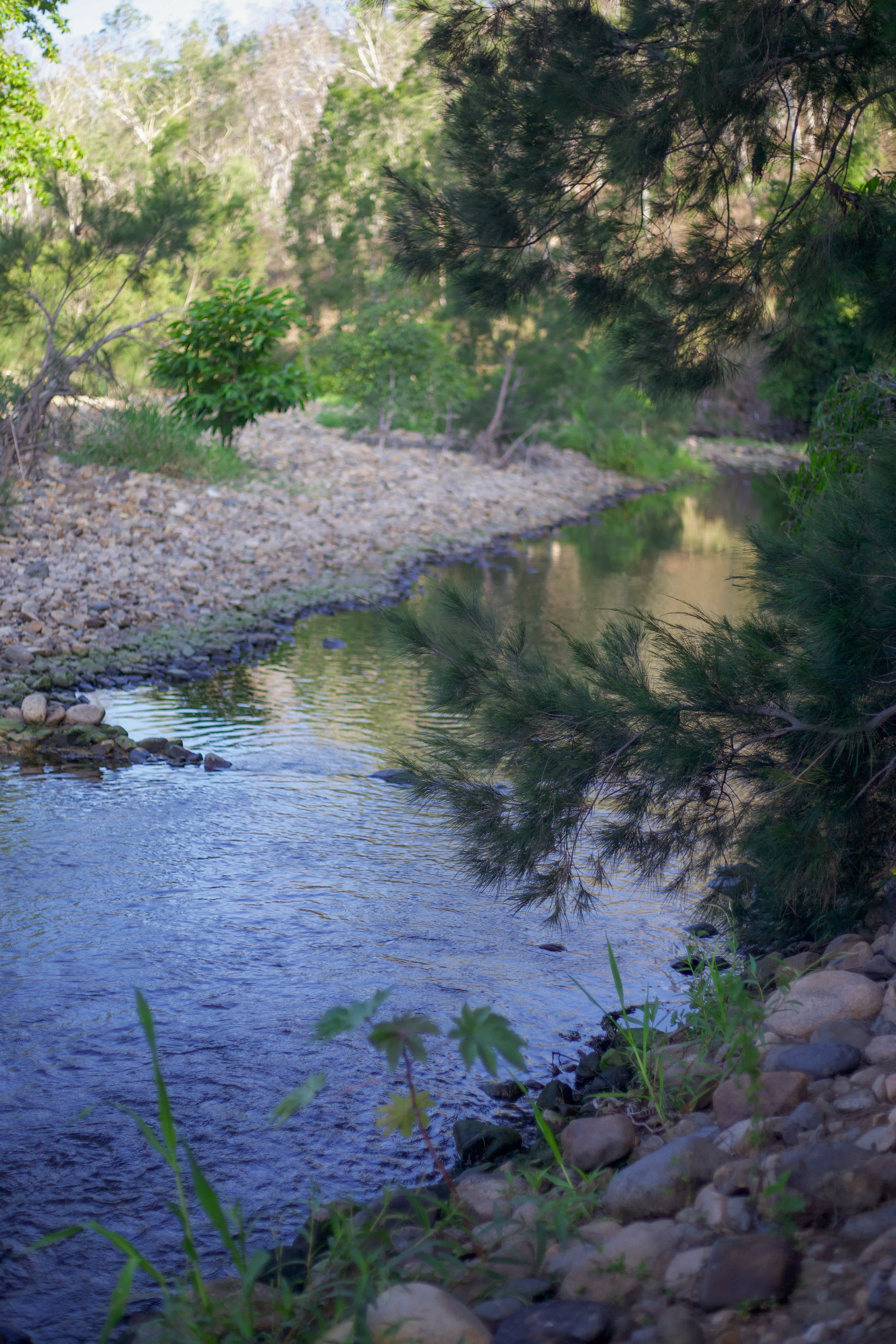 Creek and Antique Camping