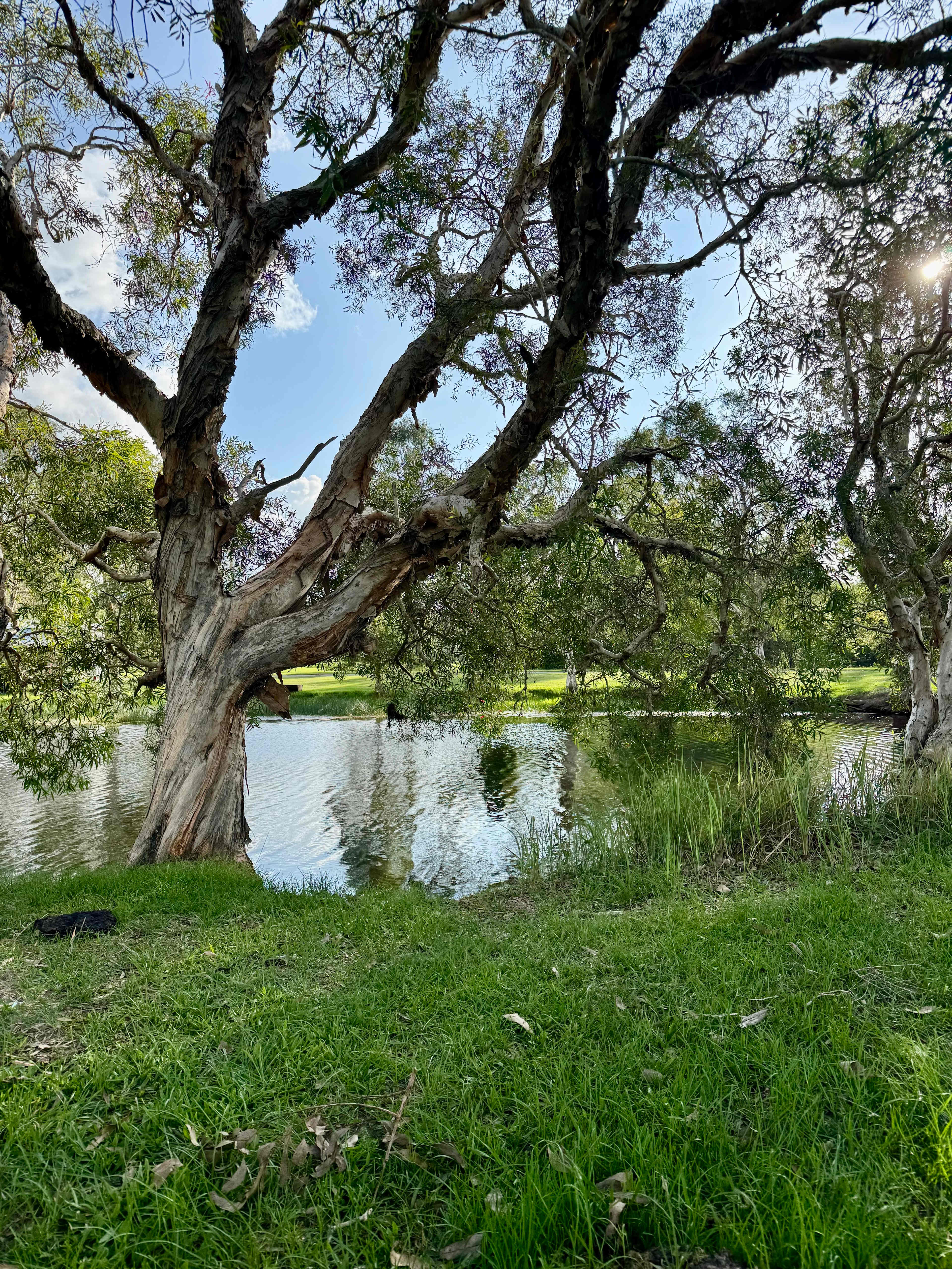 Gootchie Creek Escape