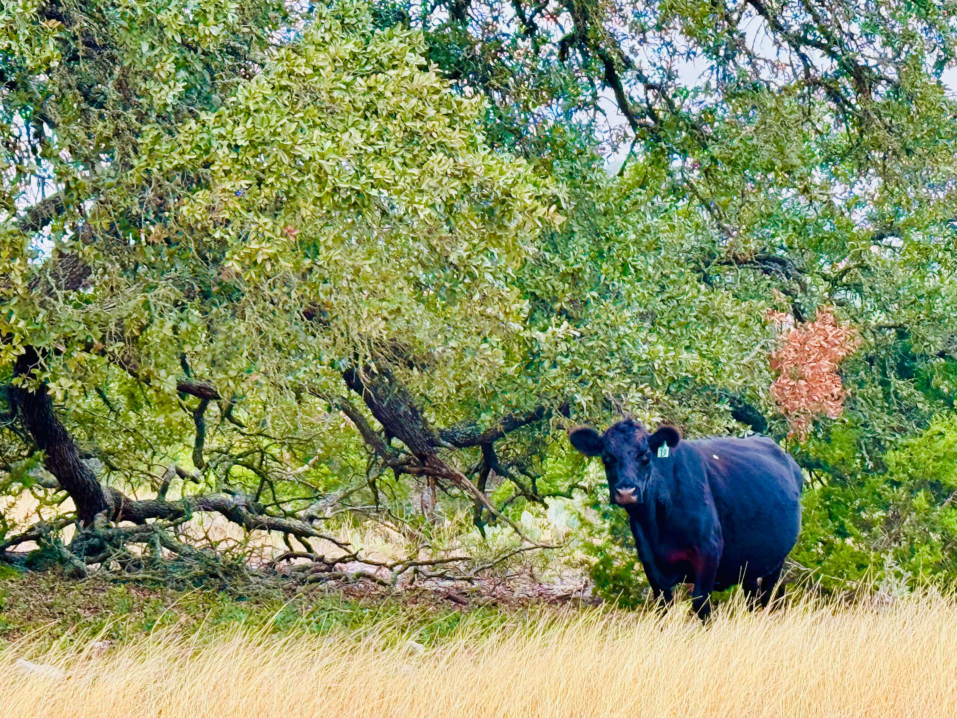 A friend I met on the way out