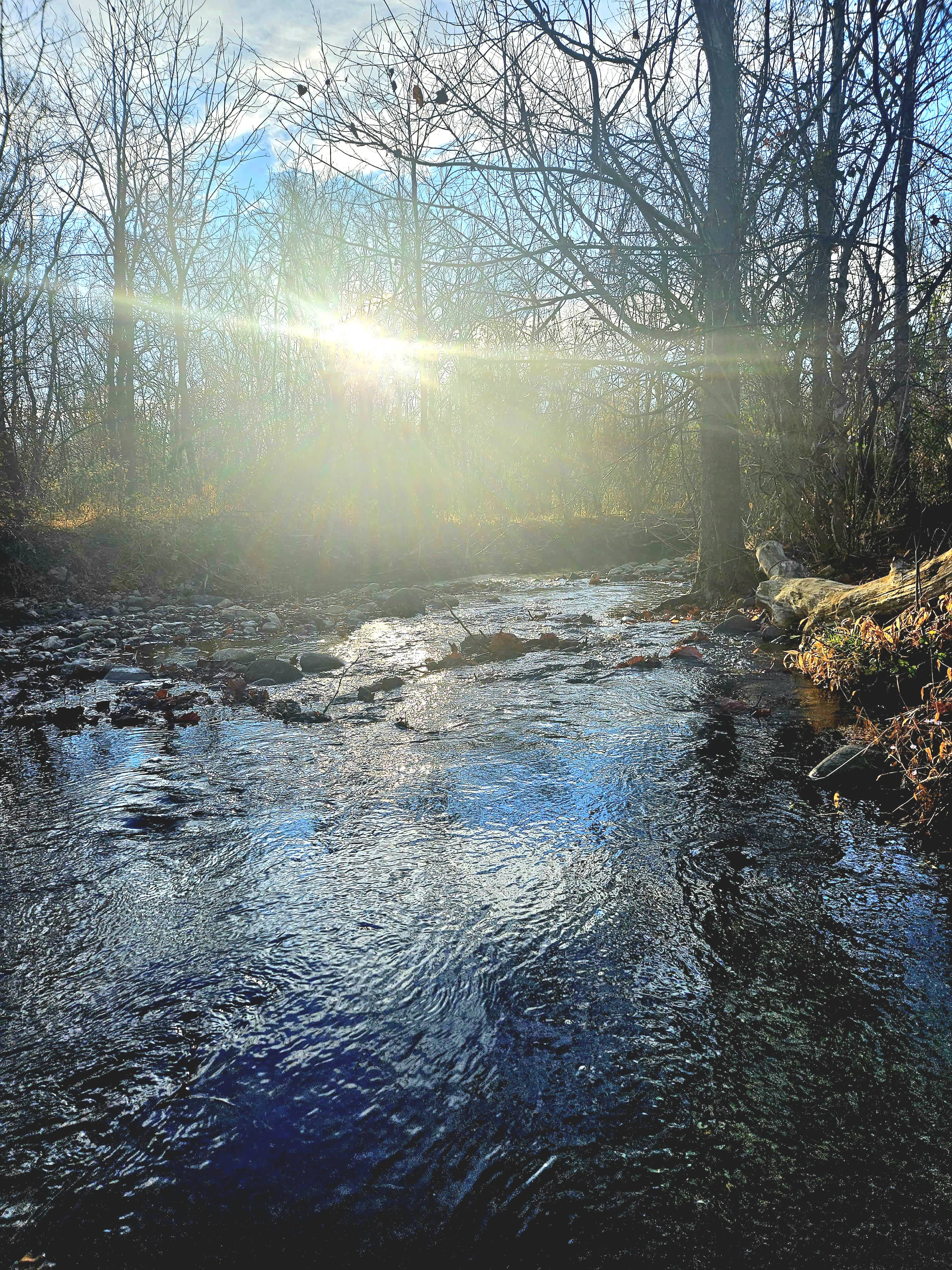 Stoney Creek Campground