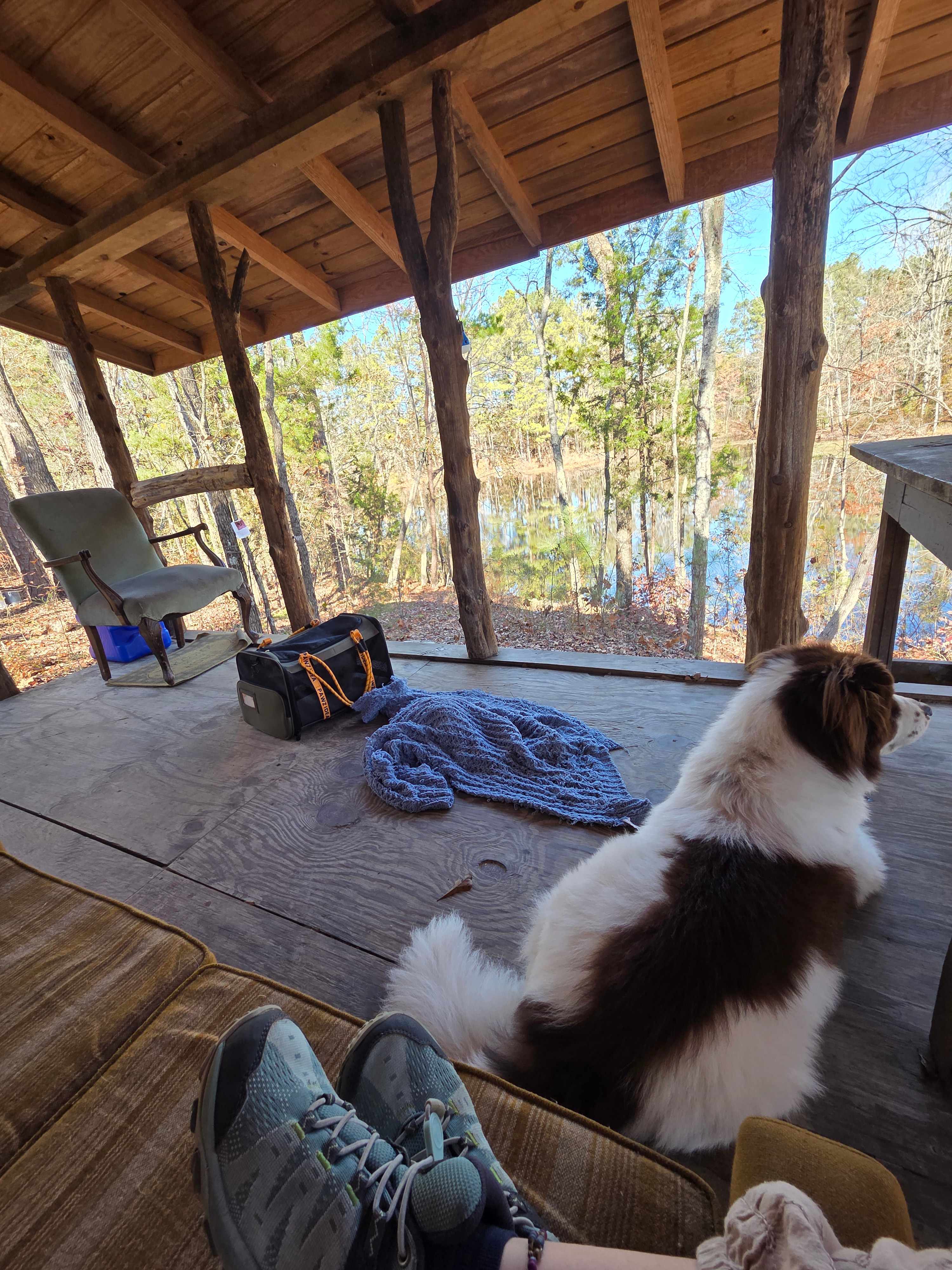 Private Oasis In The Forest
