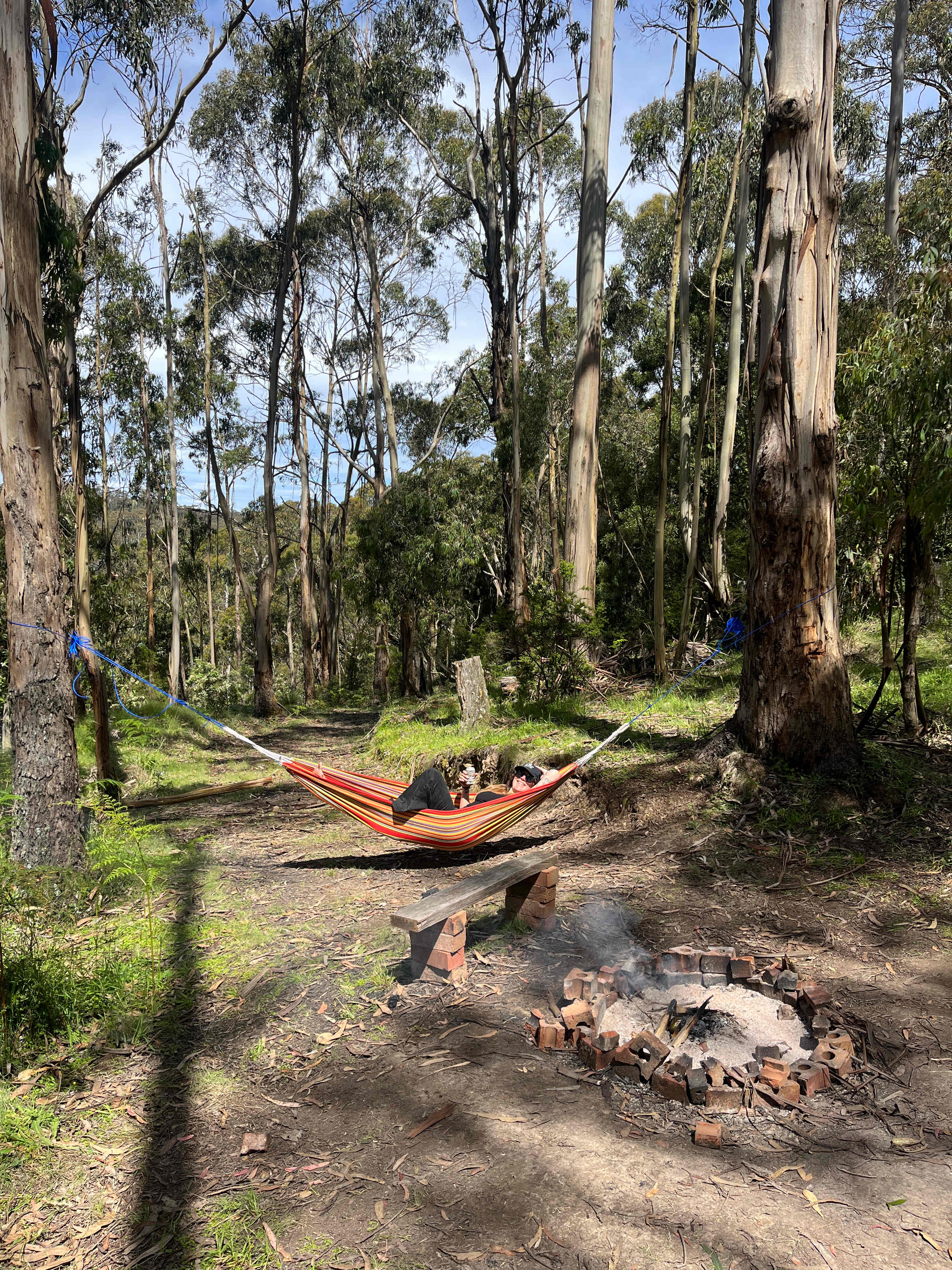 Tall Trees Otways Camp