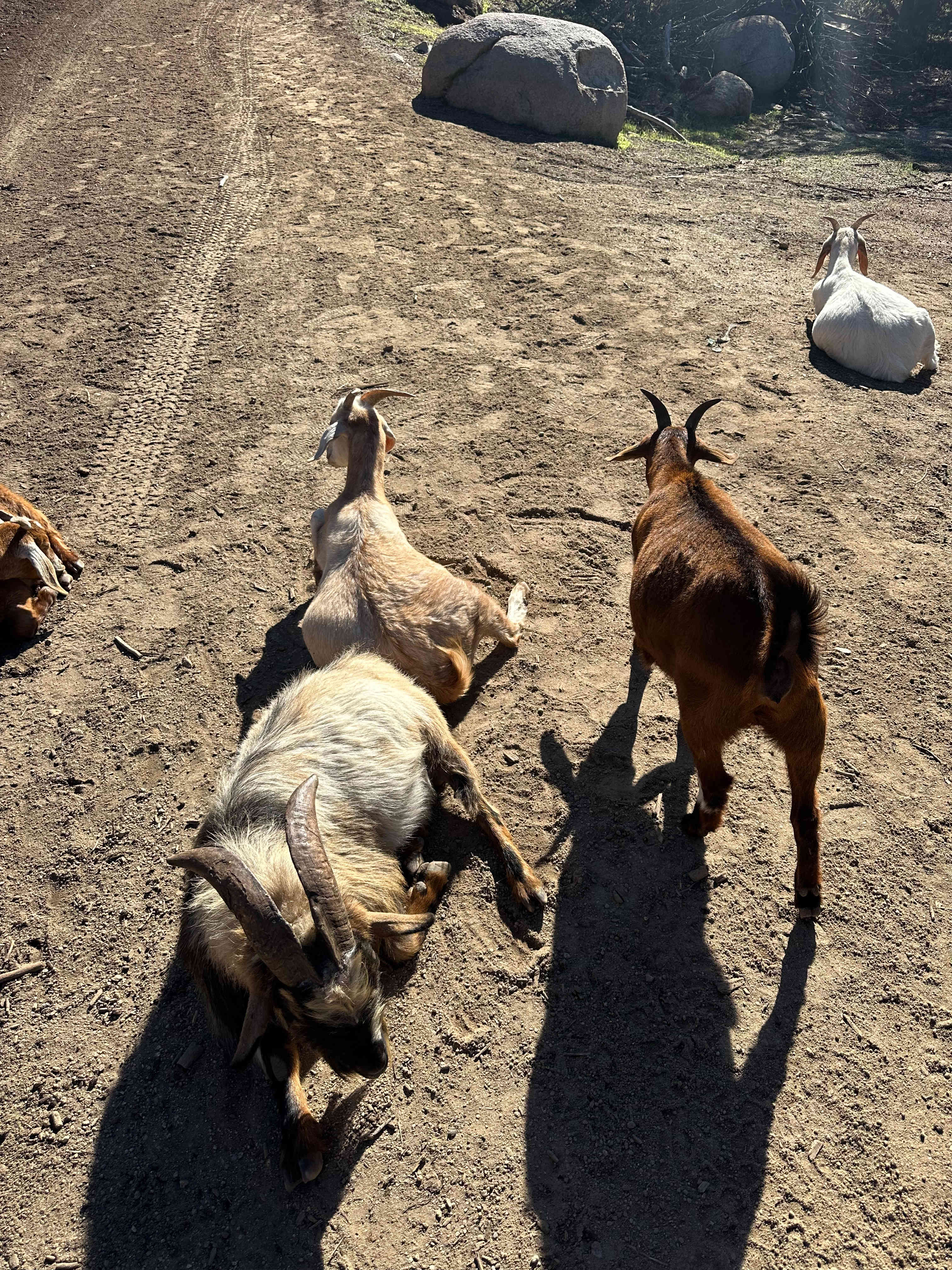 Splitrock Farm and Retreat