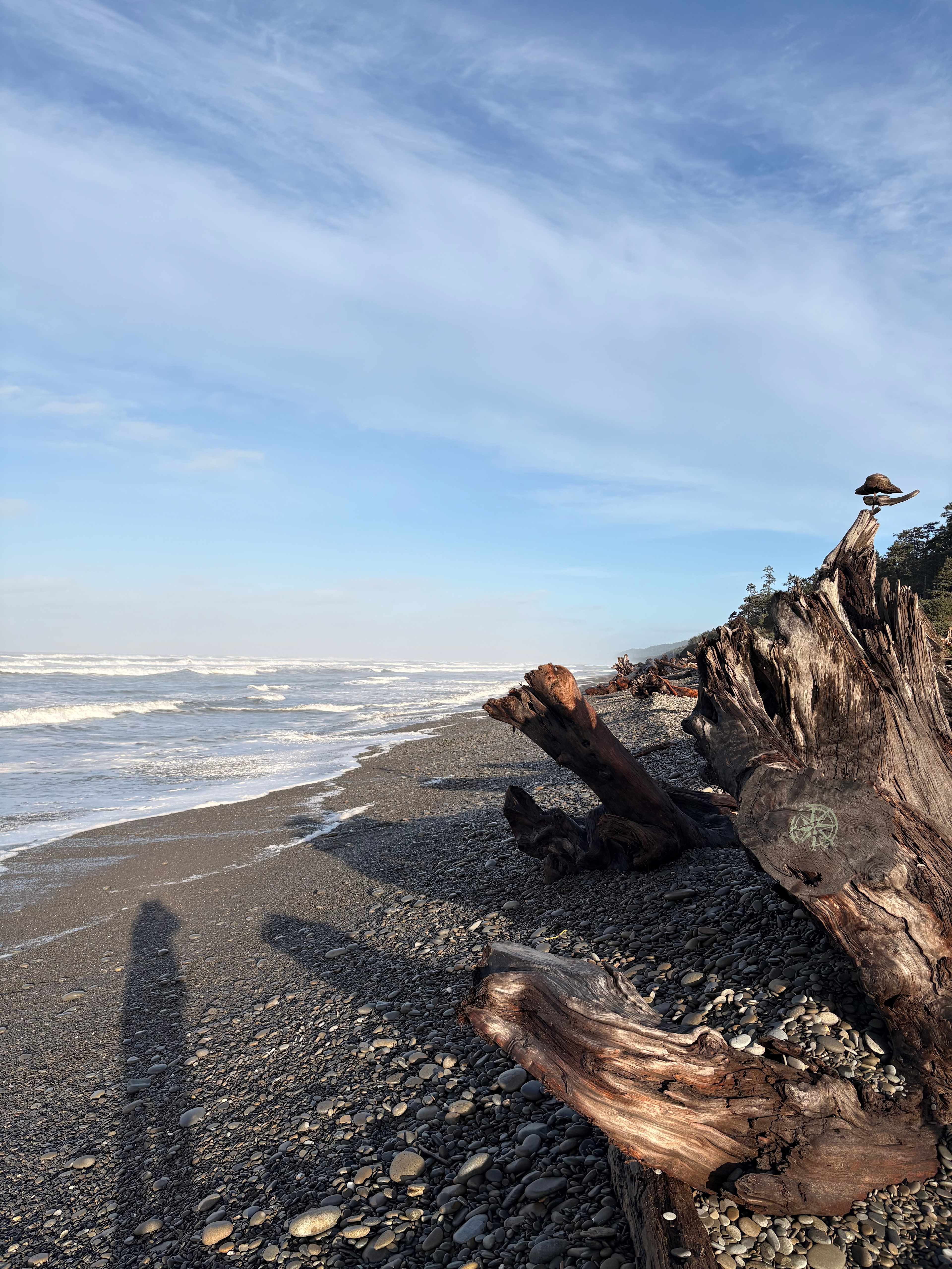 Sunny morning at the beach