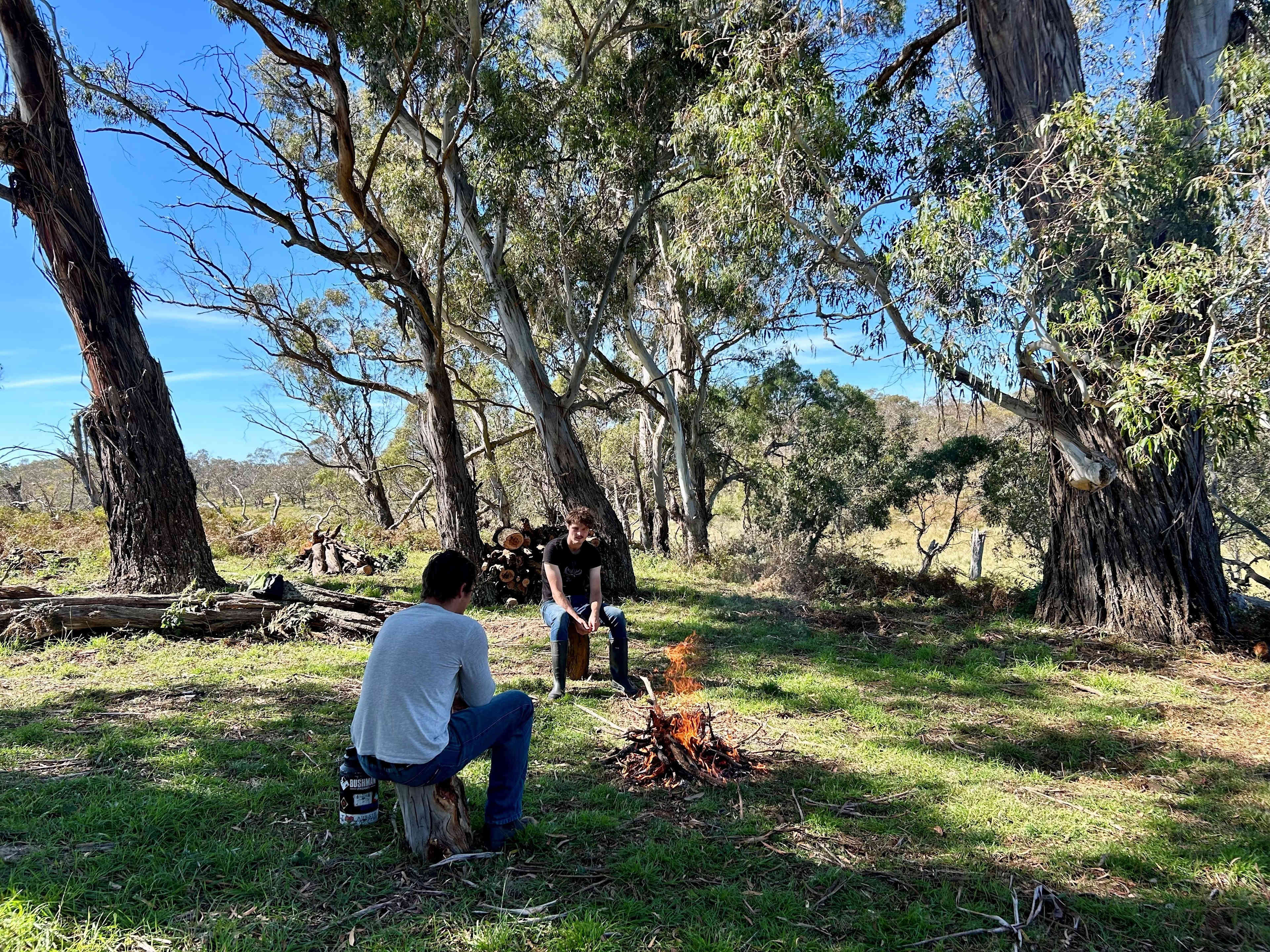 Ribbon Gums campfire area.