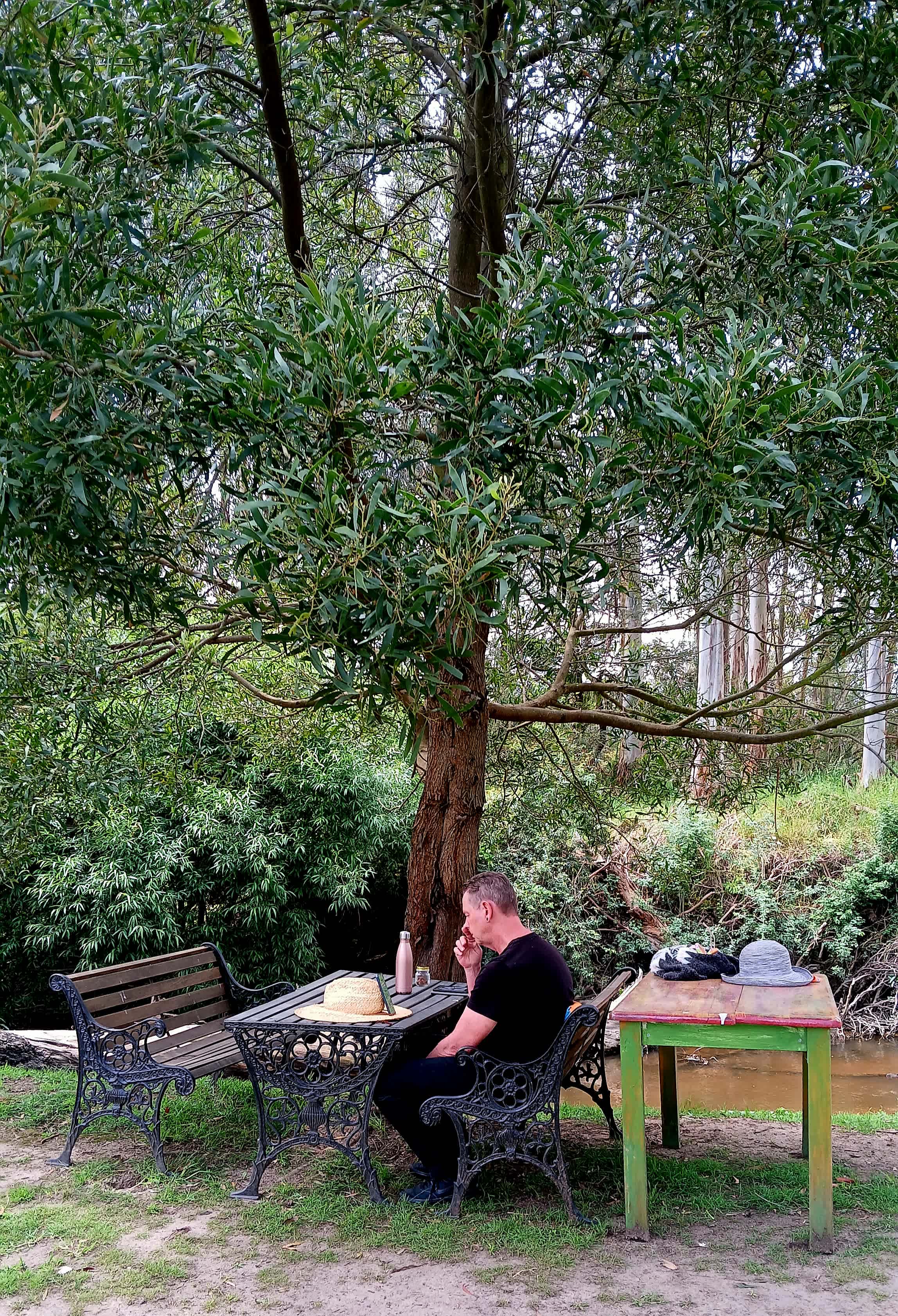 Reading in the shade by the river