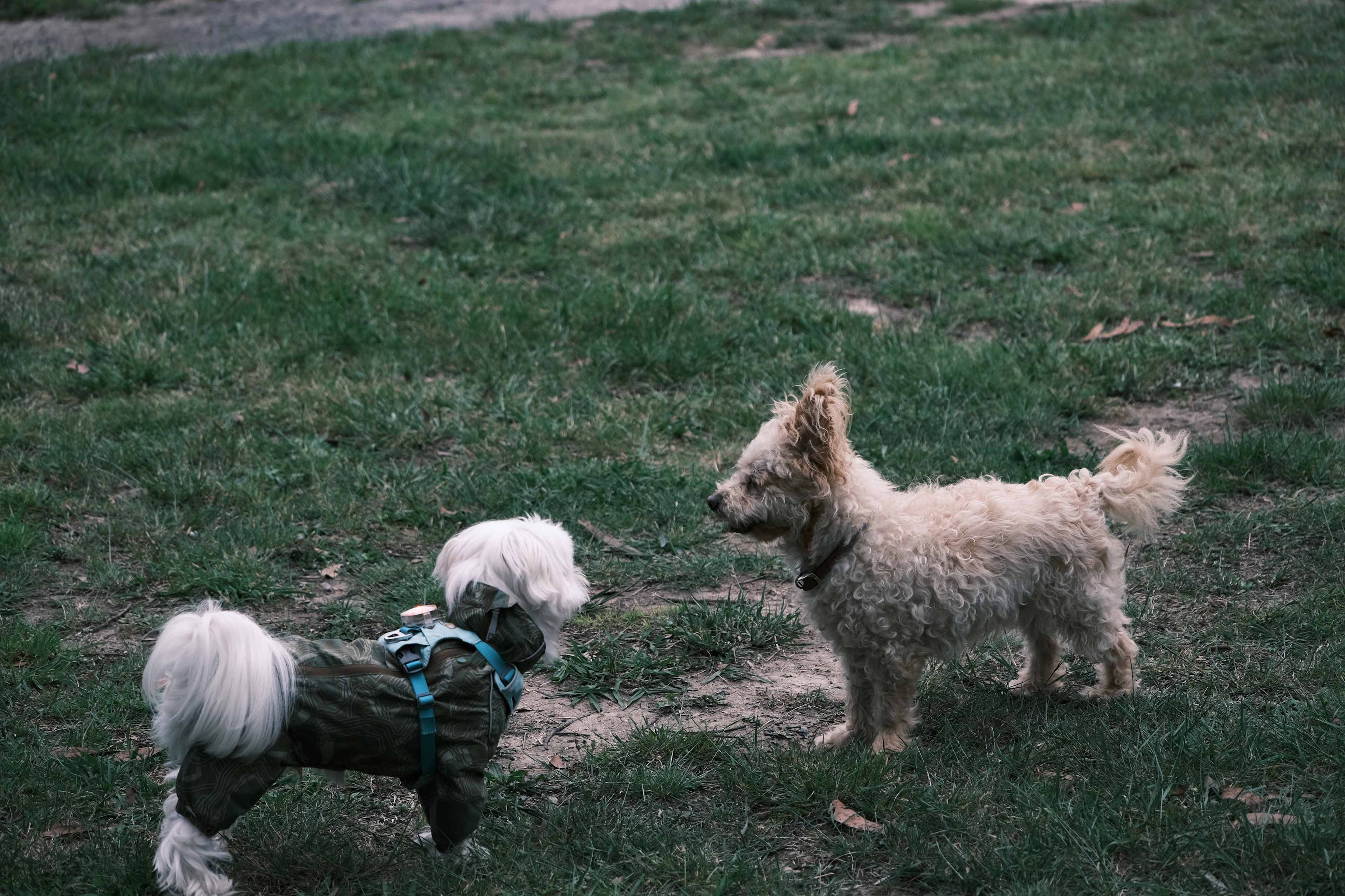 Kiernan Park Equestrian Centre