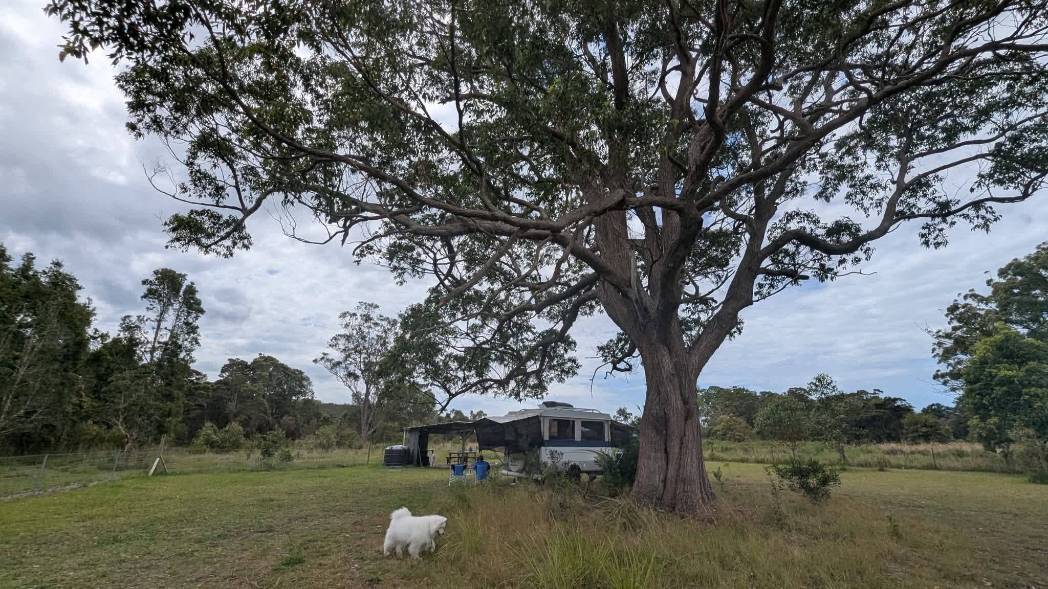 Diamond Park Campsite