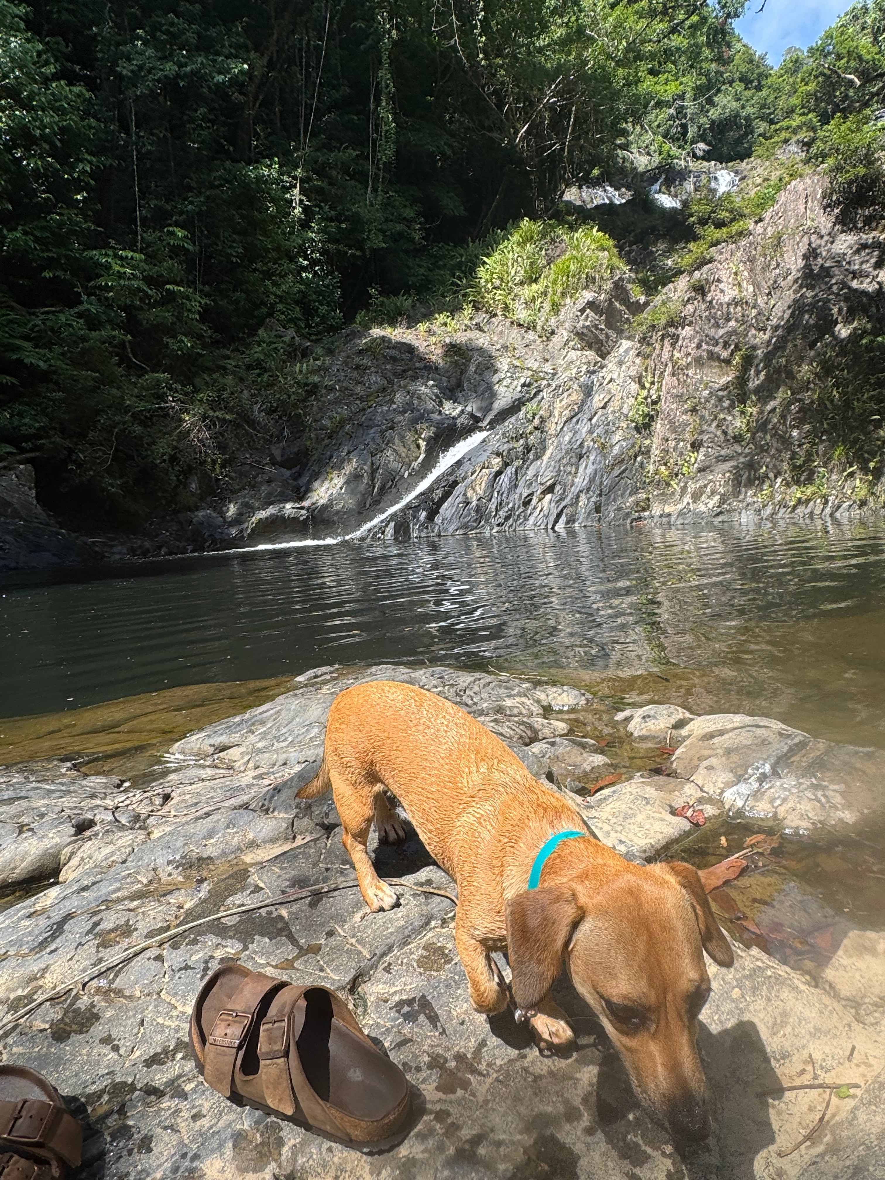 Beauty Spot Valley Organic Farmstay