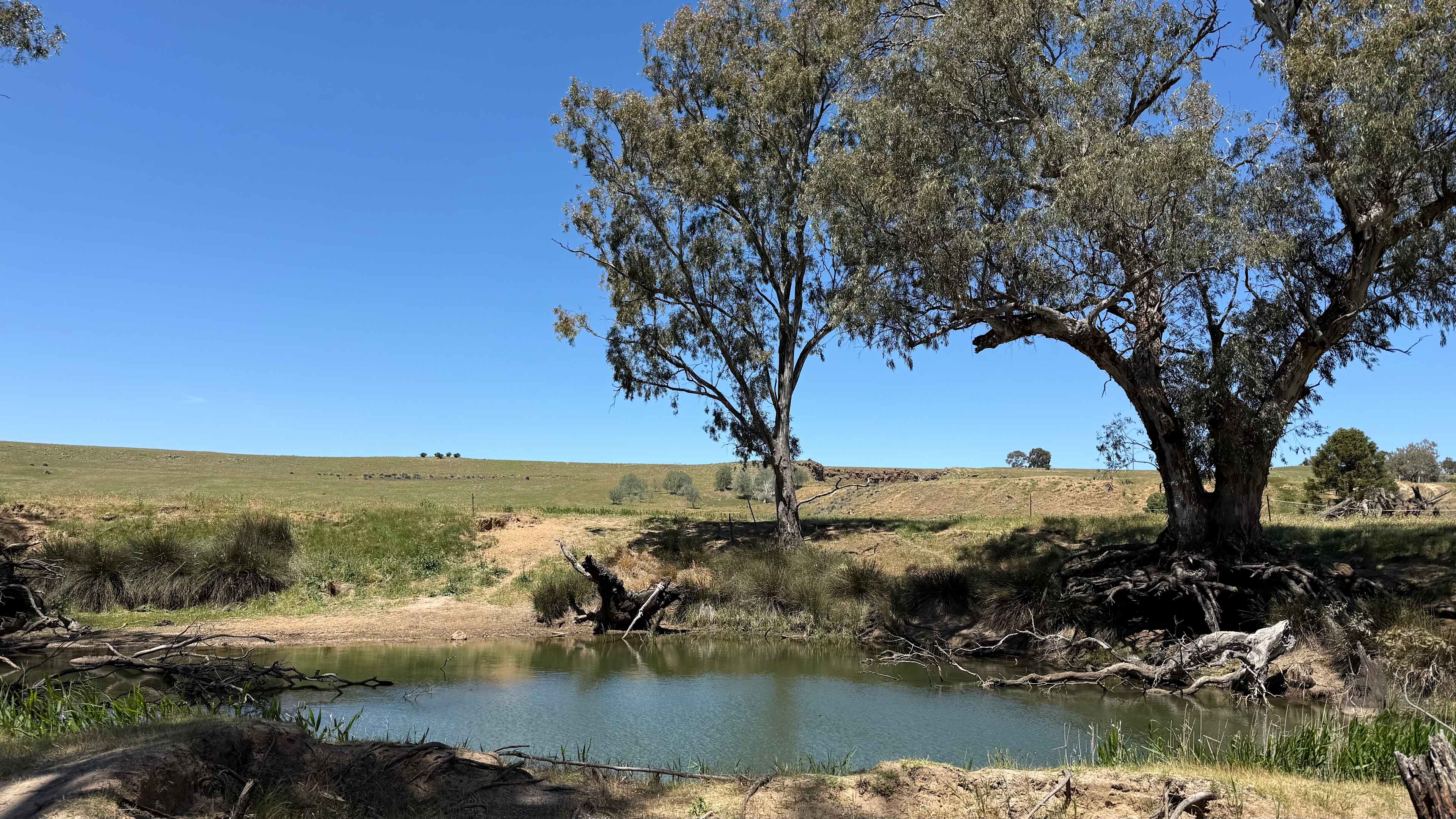 Campsite right next to Murray Cod and yellow fin fishing!