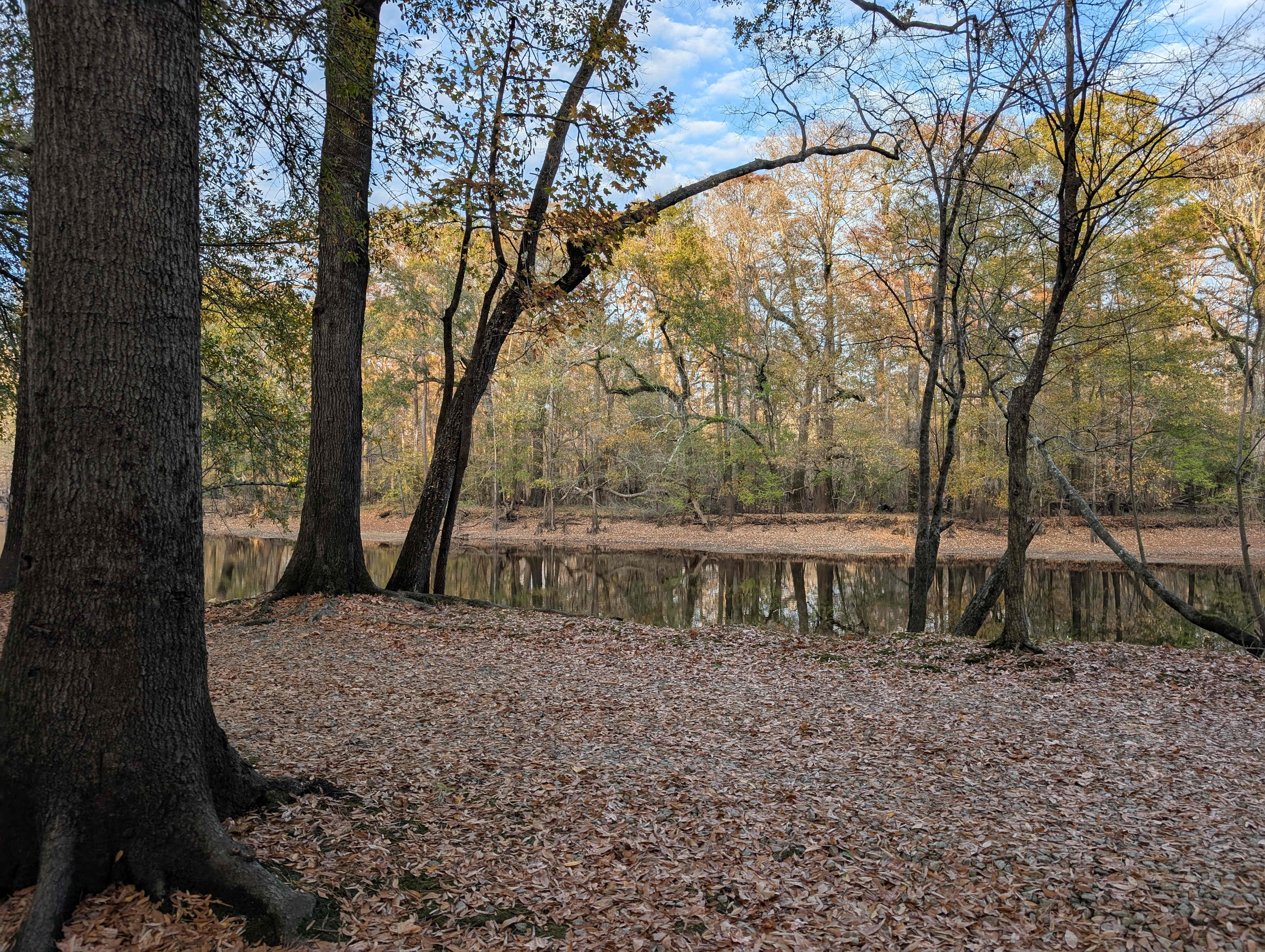 Black River Camping Ventures