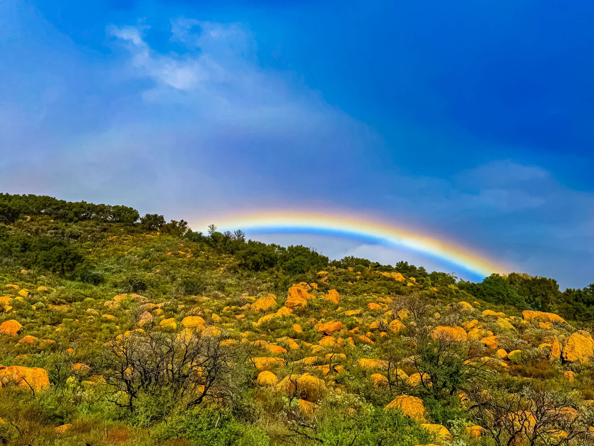 Gaia Farm Campground