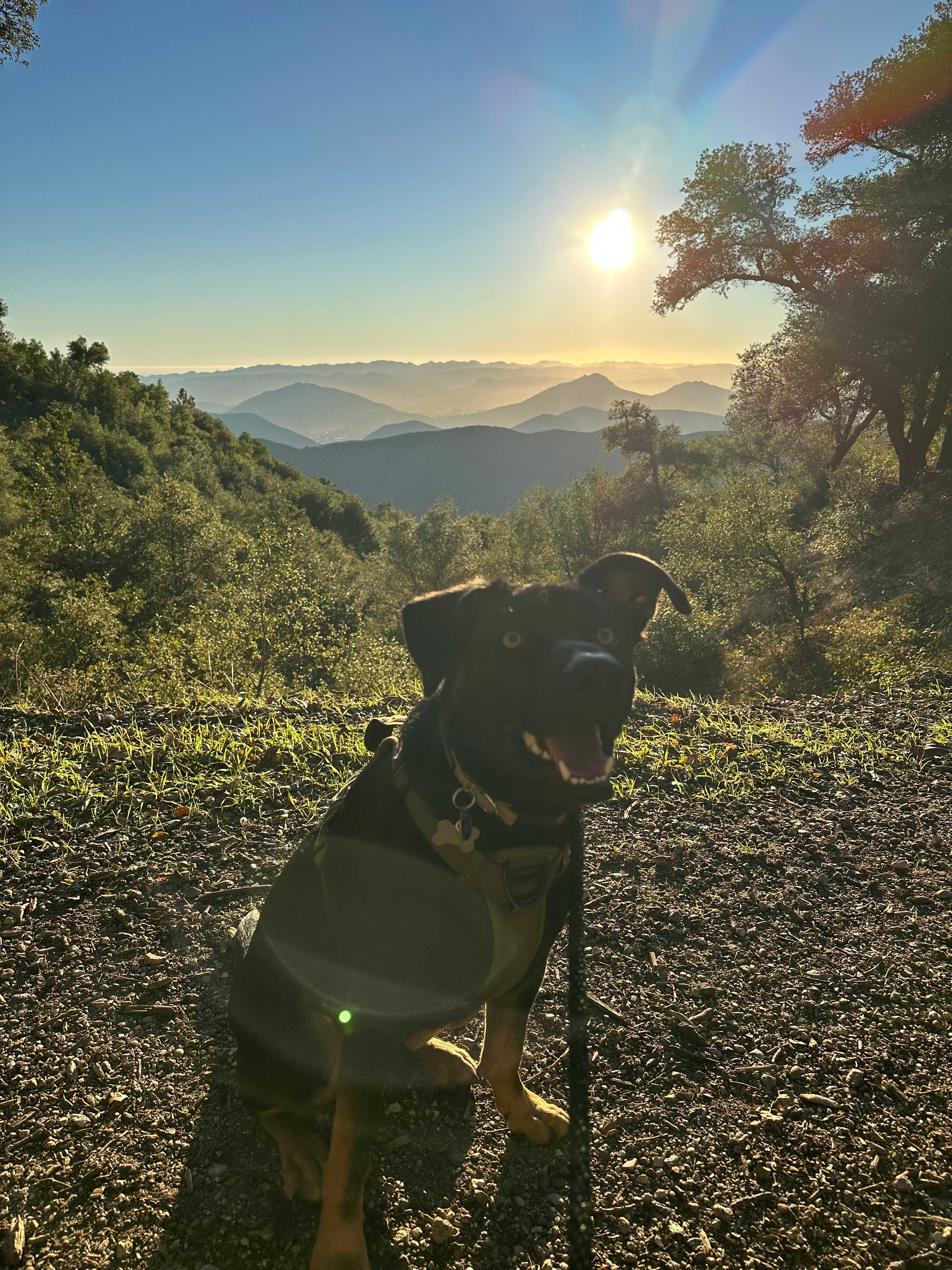 Mt Rancho (FKA La Montaña Ranch)