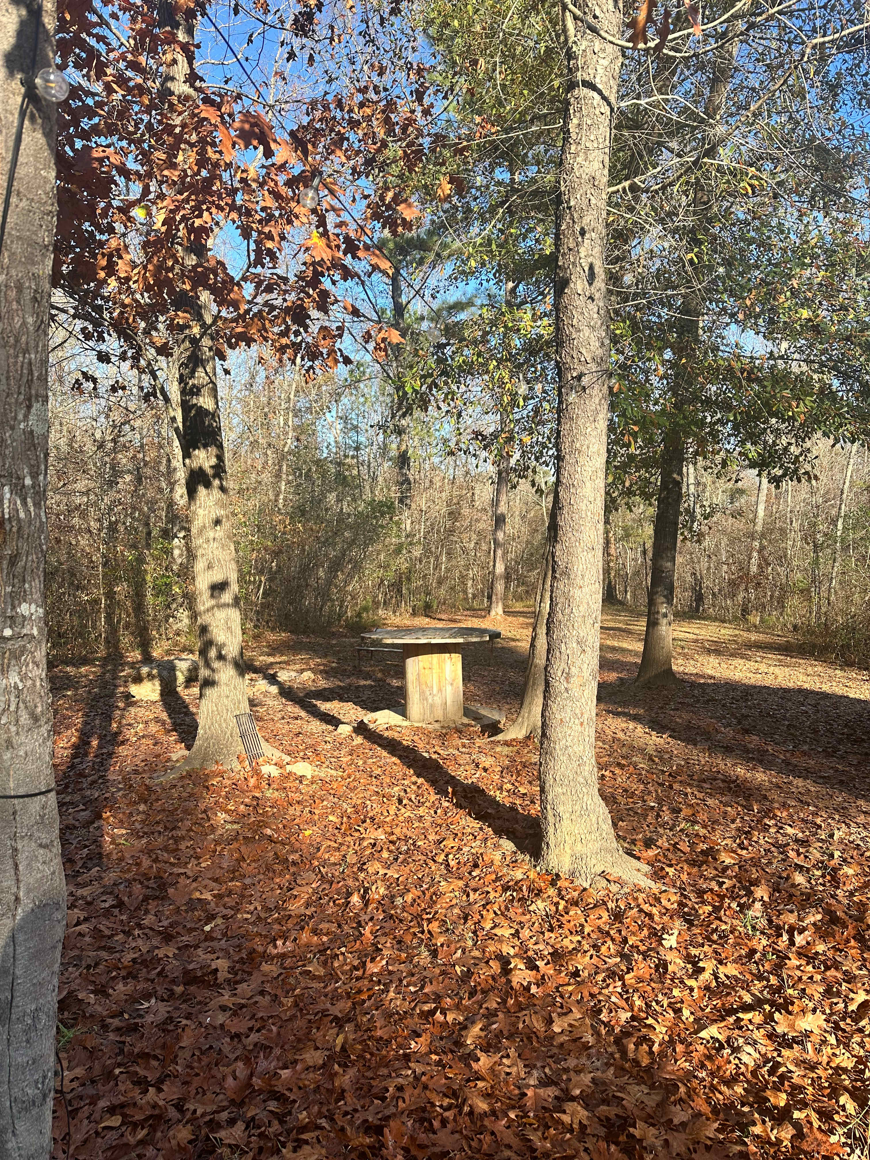 Argo’s Park & Trails