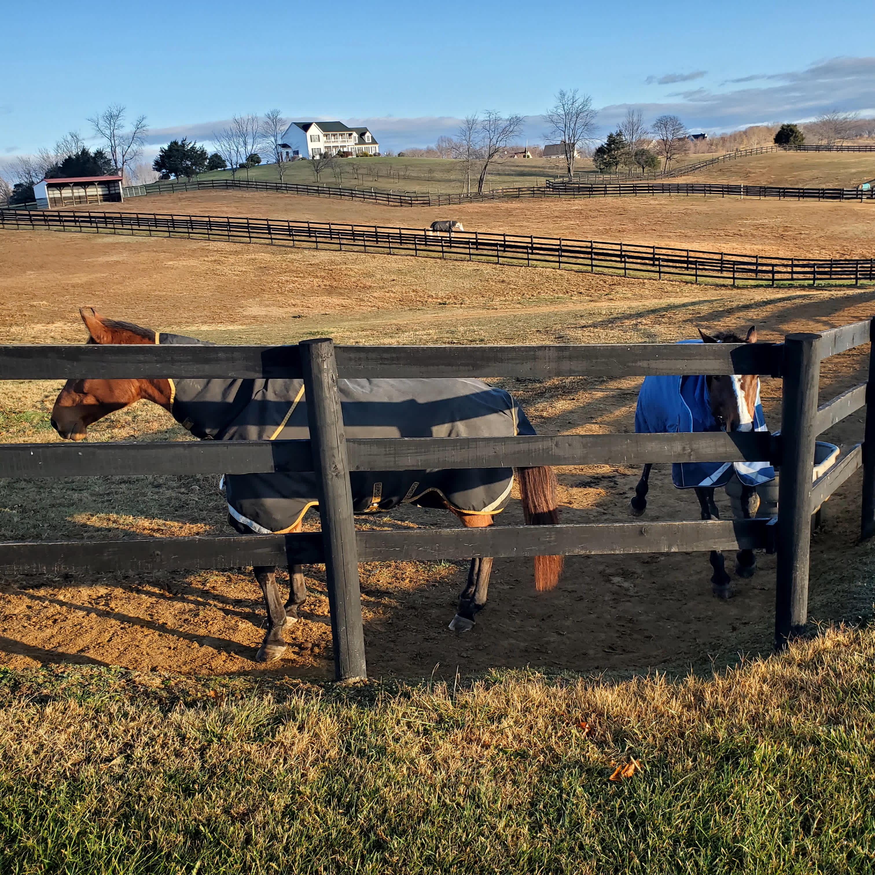 Mane Gait Equestrian Center