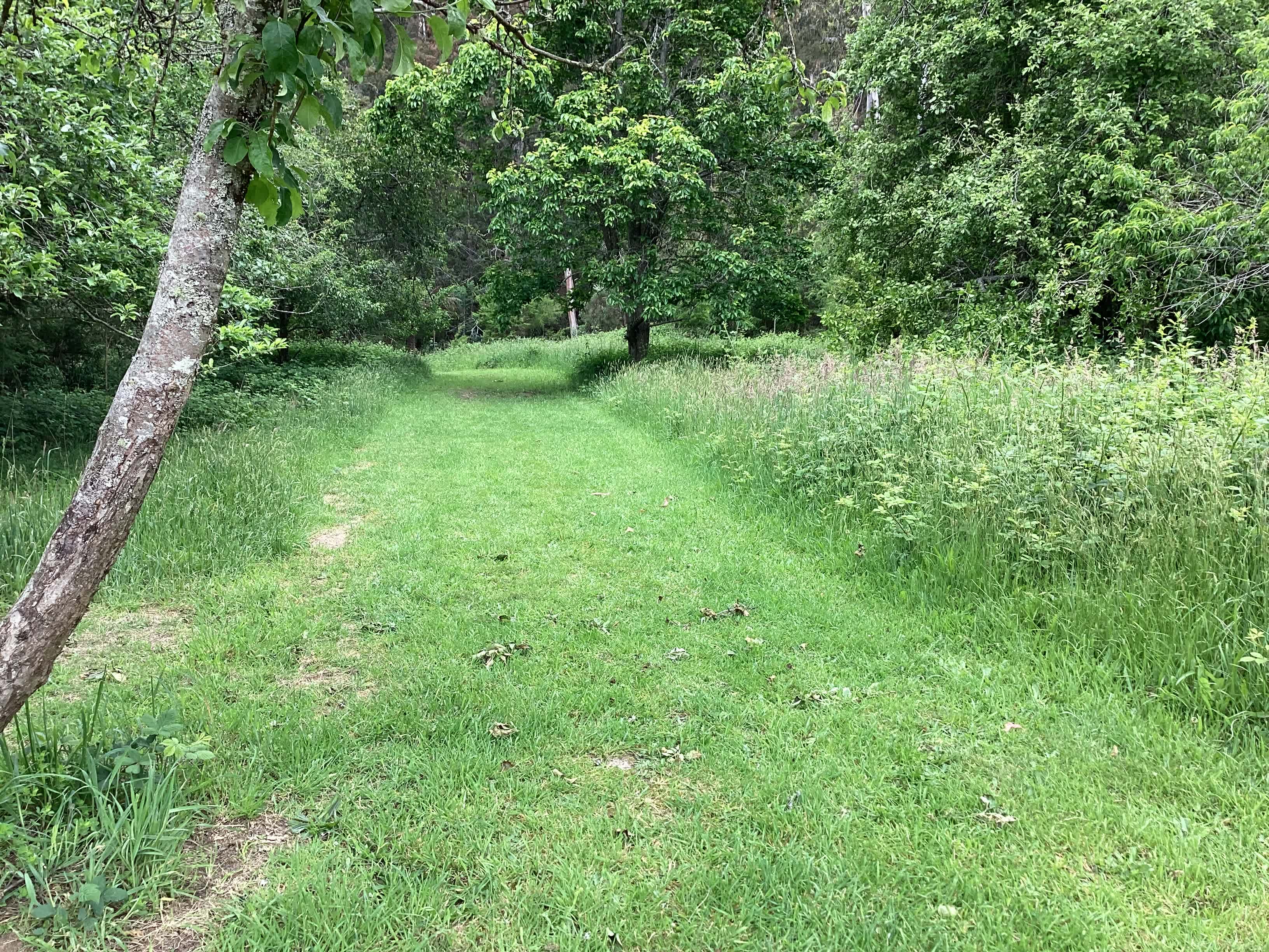 Hazelnut Valley Farm Stay