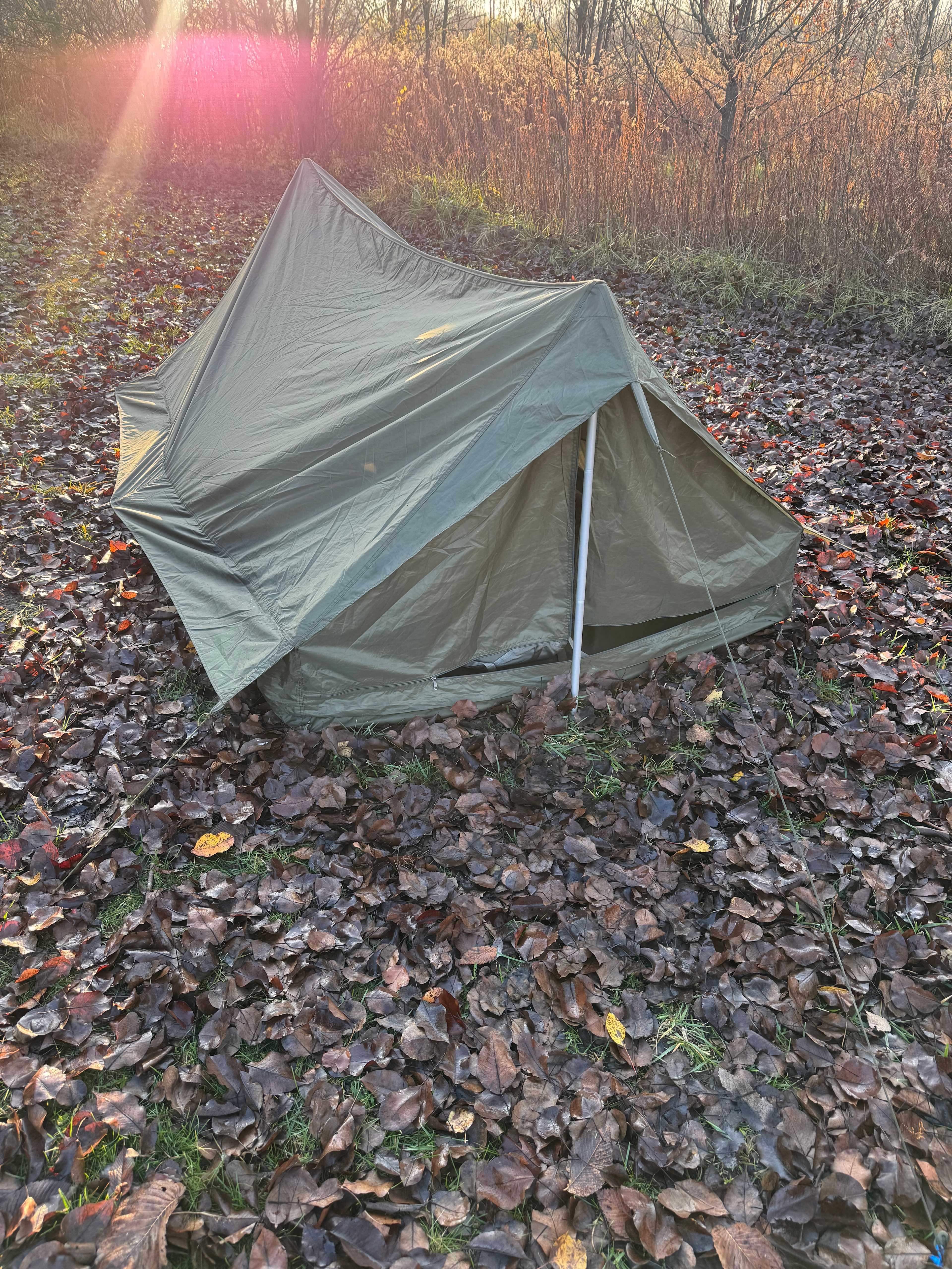 A Place Aglow Behind The Chateau