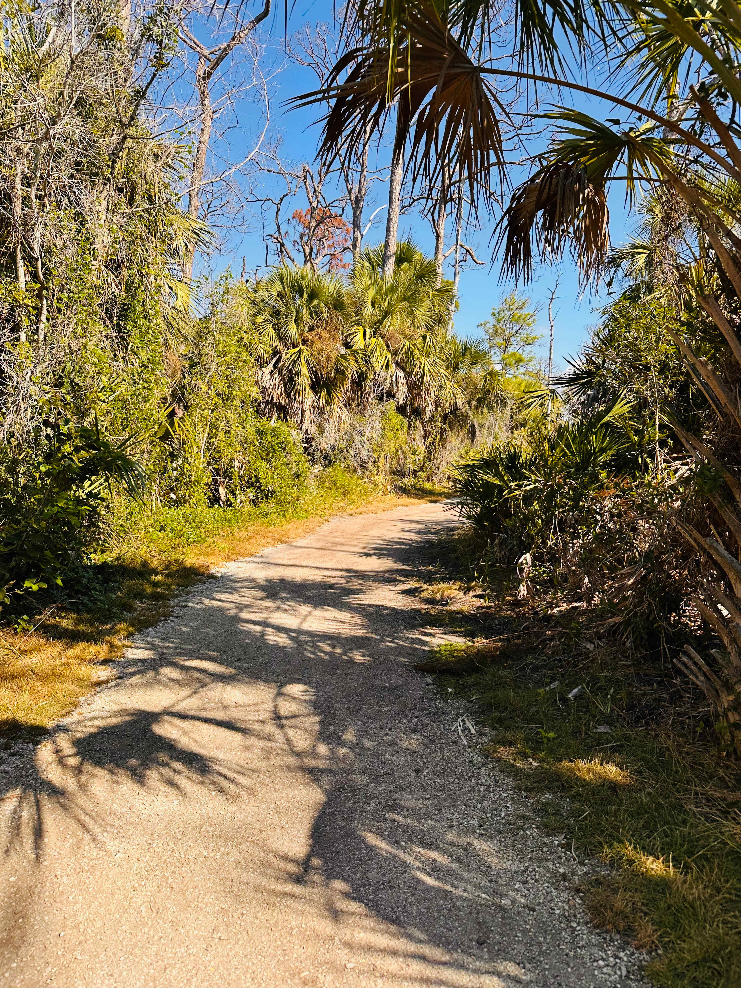 Bell Oaks Ranch 5 min from Beach